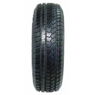 Goldline Winter-GLW1 205/55 R16 91H - immagine 1