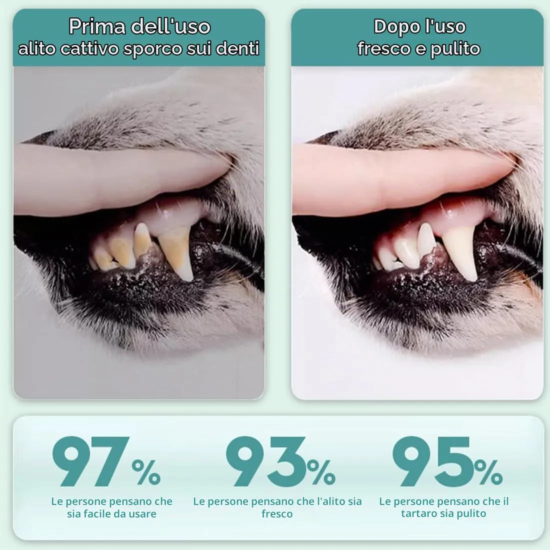 WeddHuis 50 Pezzi Salviette Dita Monouso per Pulizia Dentale di Animali Domestici - Per Gatti e Cani, Pulizia Delicata Senza Spazzolino per Denti Sani - immagine 4