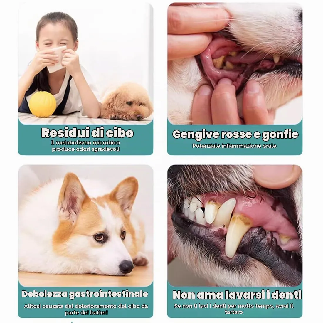 WeddHuis 50 Pezzi Salviette Dita Monouso per Pulizia Dentale di Animali Domestici - Per Gatti e Cani, Pulizia Delicata Senza Spazzolino per Denti Sani - immagine 6