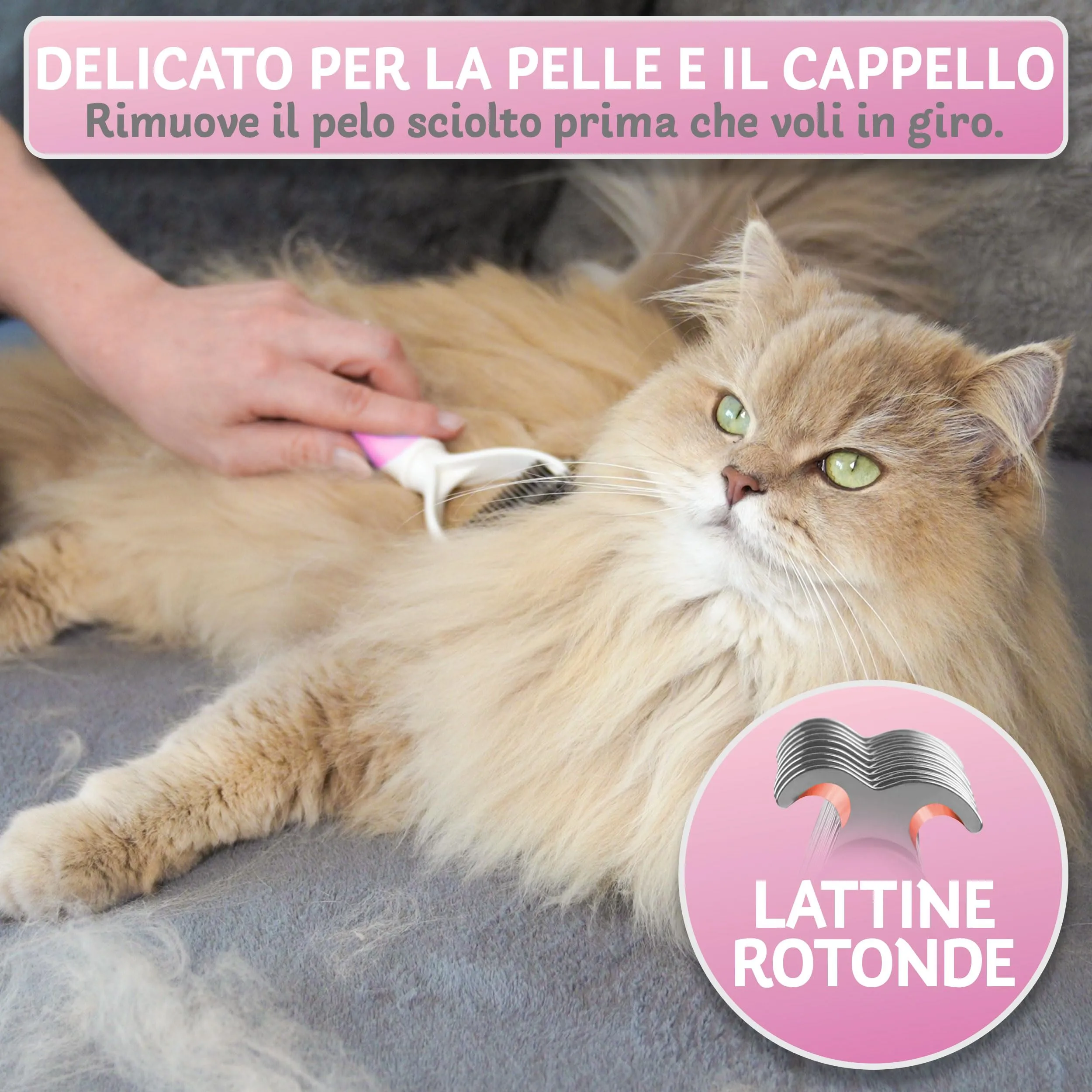 BluePet Spazzola per Gatti Pelo Lungo, Pettine Gatto, Cardatore Sottopelo - immagine 3