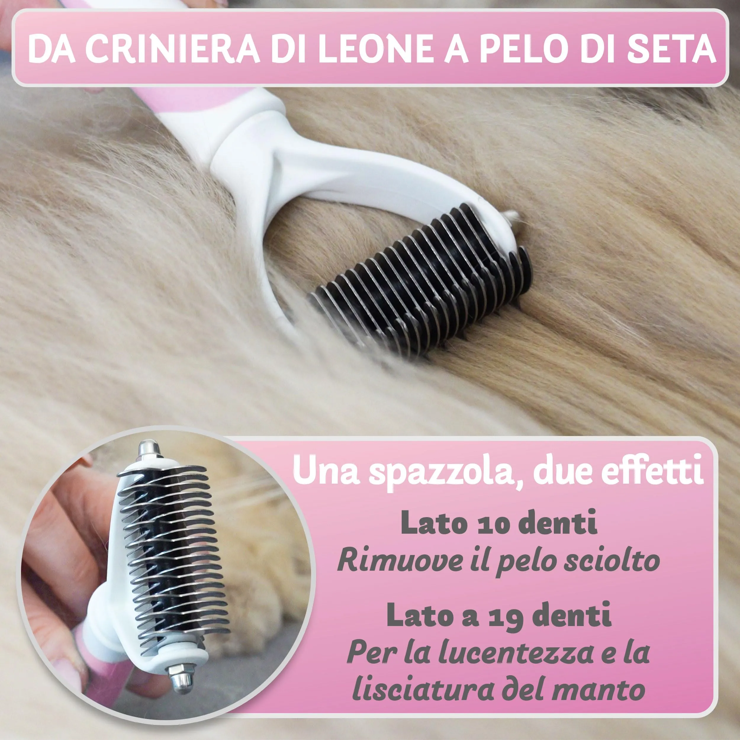 BluePet Spazzola per Gatti Pelo Lungo, Pettine Gatto, Cardatore Sottopelo - immagine 4