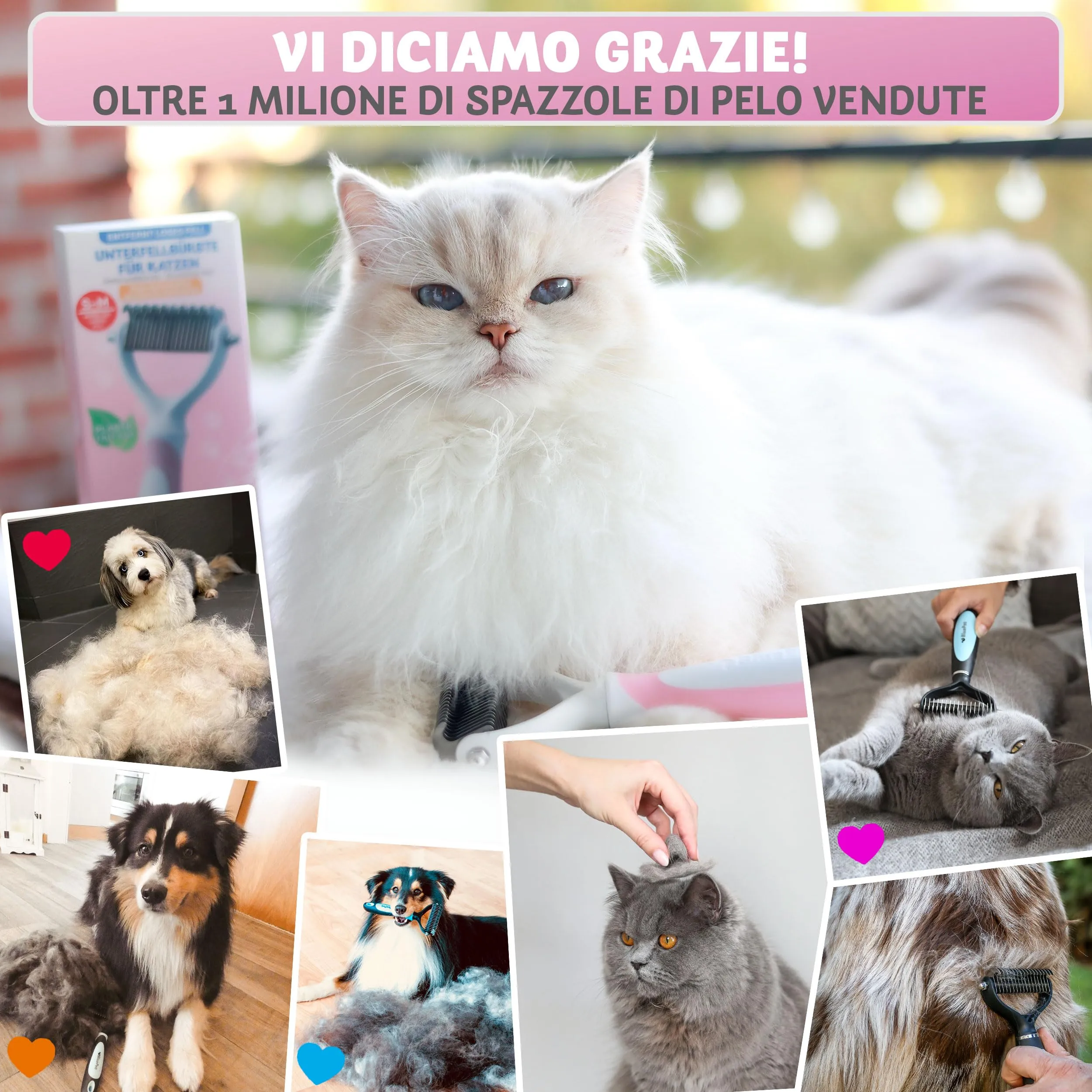 BluePet Spazzola per Gatti Pelo Lungo, Pettine Gatto, Cardatore Sottopelo - immagine 5