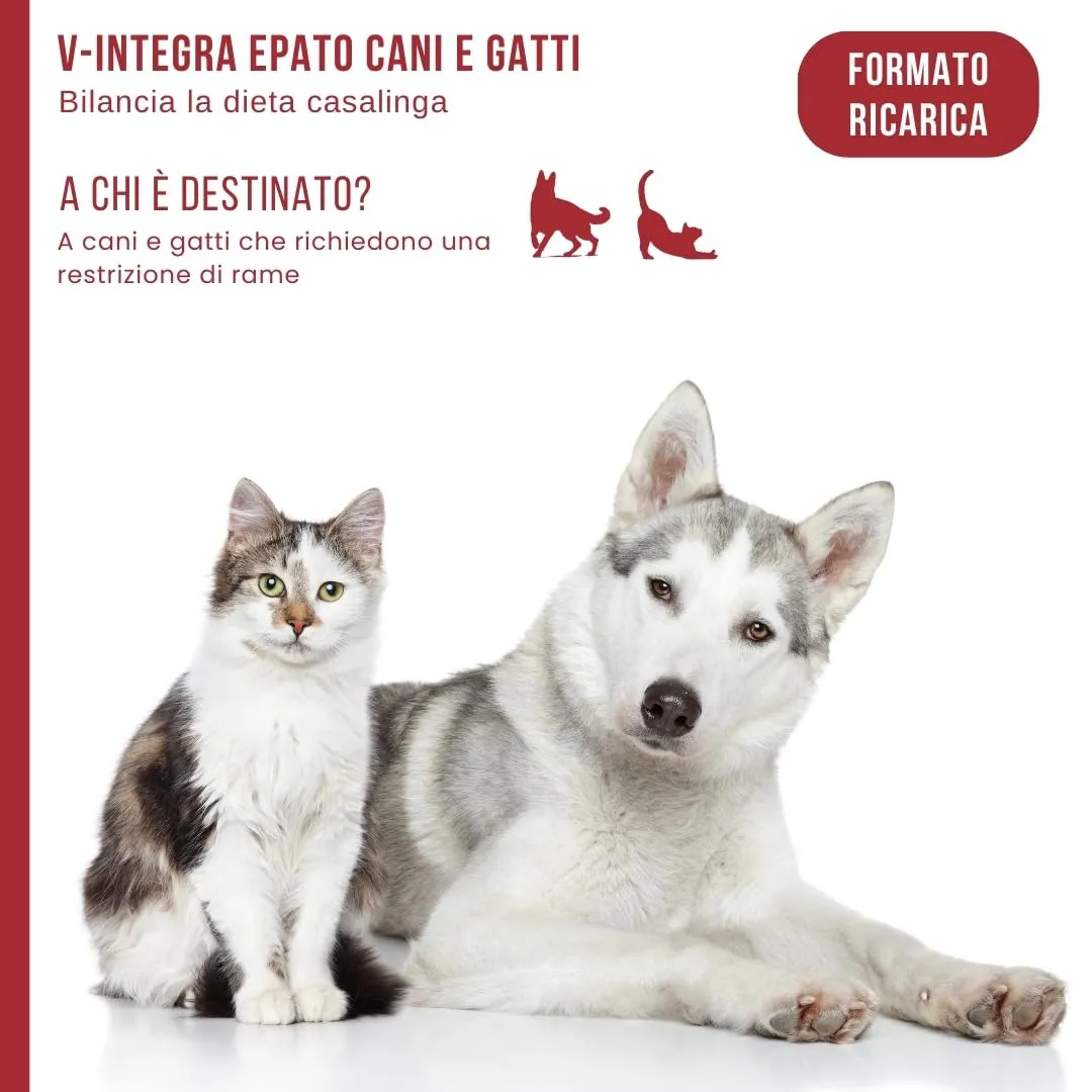 V-INTEGRA Epato 1kg ECO RICARICA, Integratore Vitamine e Minerali per Bilanciare Diete Casalinghe di Cani e Gatti che Richiedono una Restrizione di Rame, Multivitaminico Cane e Gatto Made in Italy - immagine 3