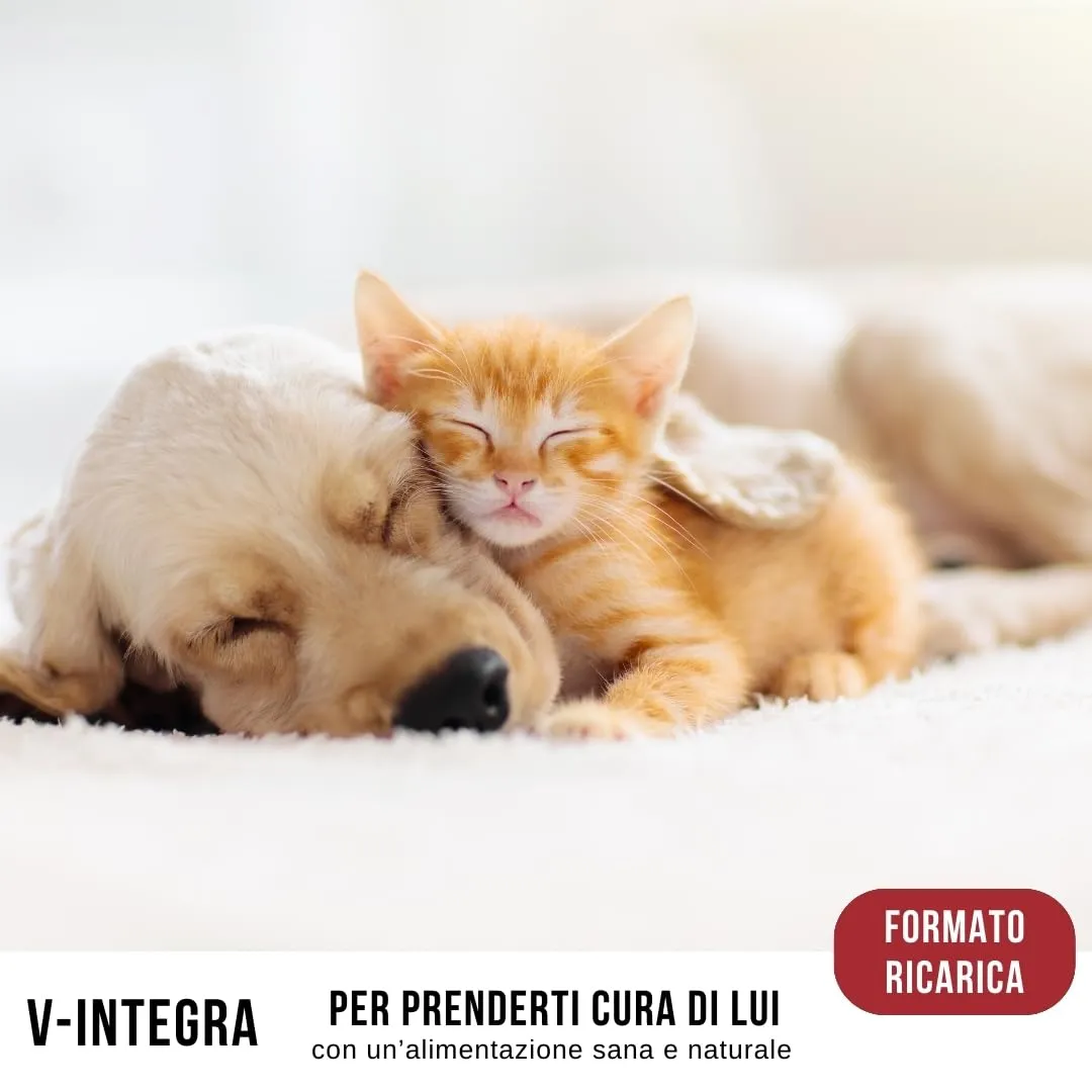 V-INTEGRA Epato 1kg ECO RICARICA, Integratore Vitamine e Minerali per Bilanciare Diete Casalinghe di Cani e Gatti che Richiedono una Restrizione di Rame, Multivitaminico Cane e Gatto Made in Italy - immagine 7