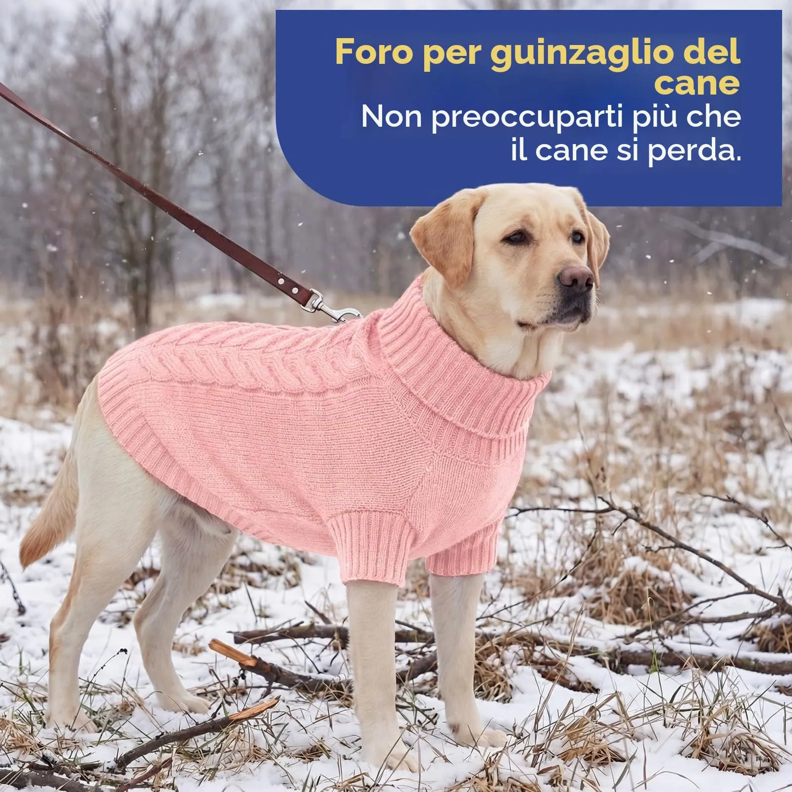 ASENKU Maglione Invernale Cane M Taglia Media, Maglioncino per Cani Treccia Collo Alto con Foro Guinzaglio per Barboncino Beagle Cocker Spaniel, Abbigliamento Caldo per Escursioni Invernali - immagine 5