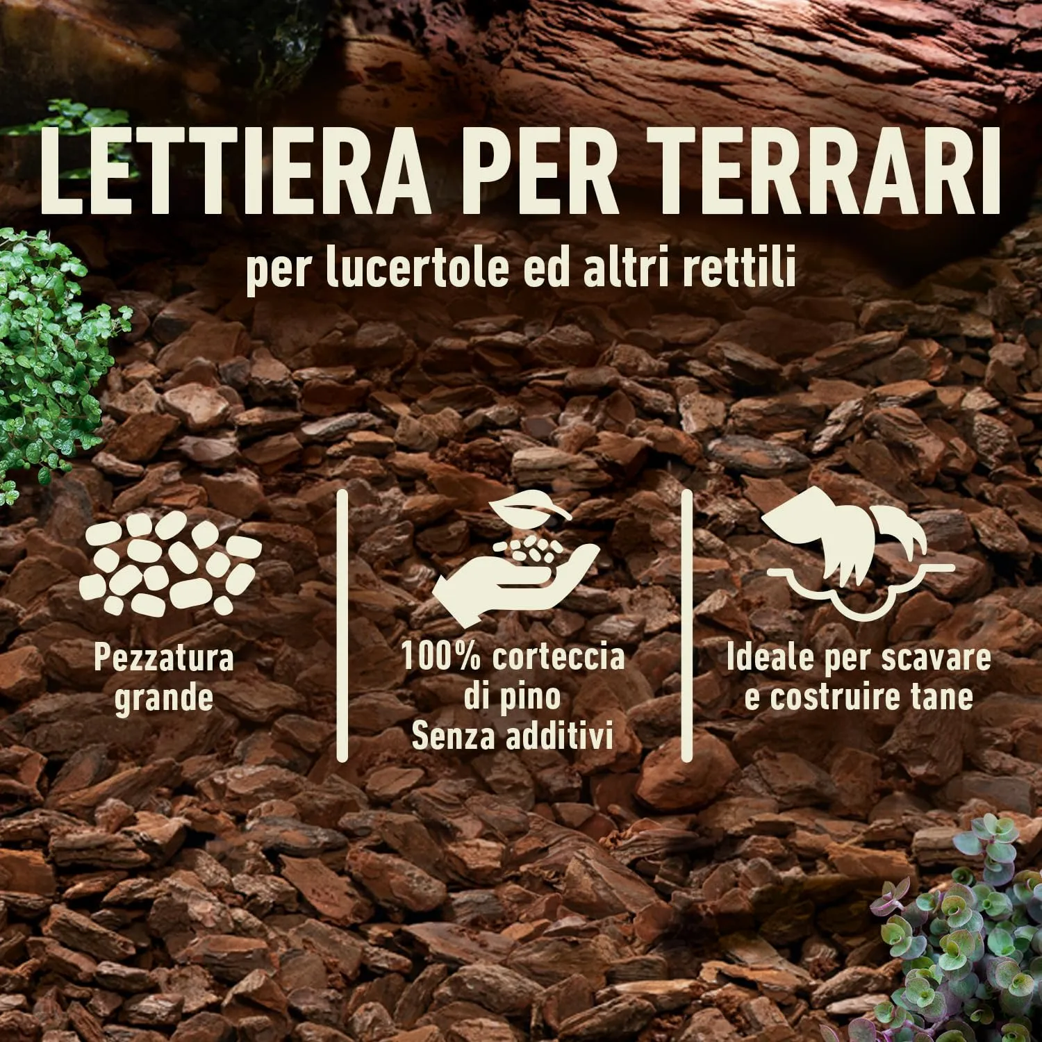 COMPO ZOO Lettiera Universale Per Terrari, Pezzatura Grossa 10-18mm - immagine 3