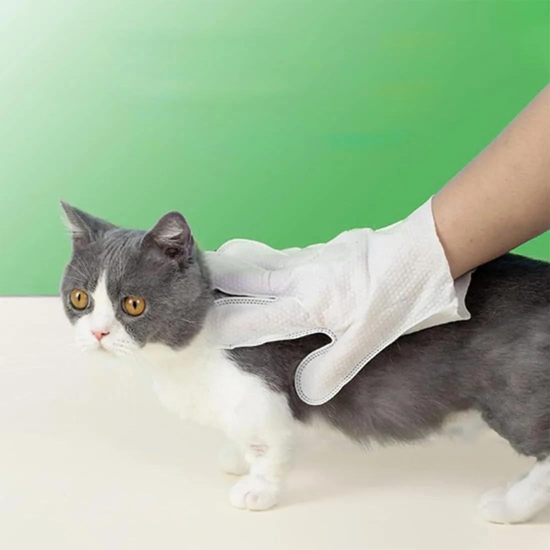 WeddHuis Guanti per Animali Domestici, Salviette per Pulizia per Cani e Gatti, Pelo, Orecchie, Occhi, Zampe, Guanti per Lavare Animali Domestici, Cura Quotidiana e Viaggi, senza Sciaquare - immagine 6
