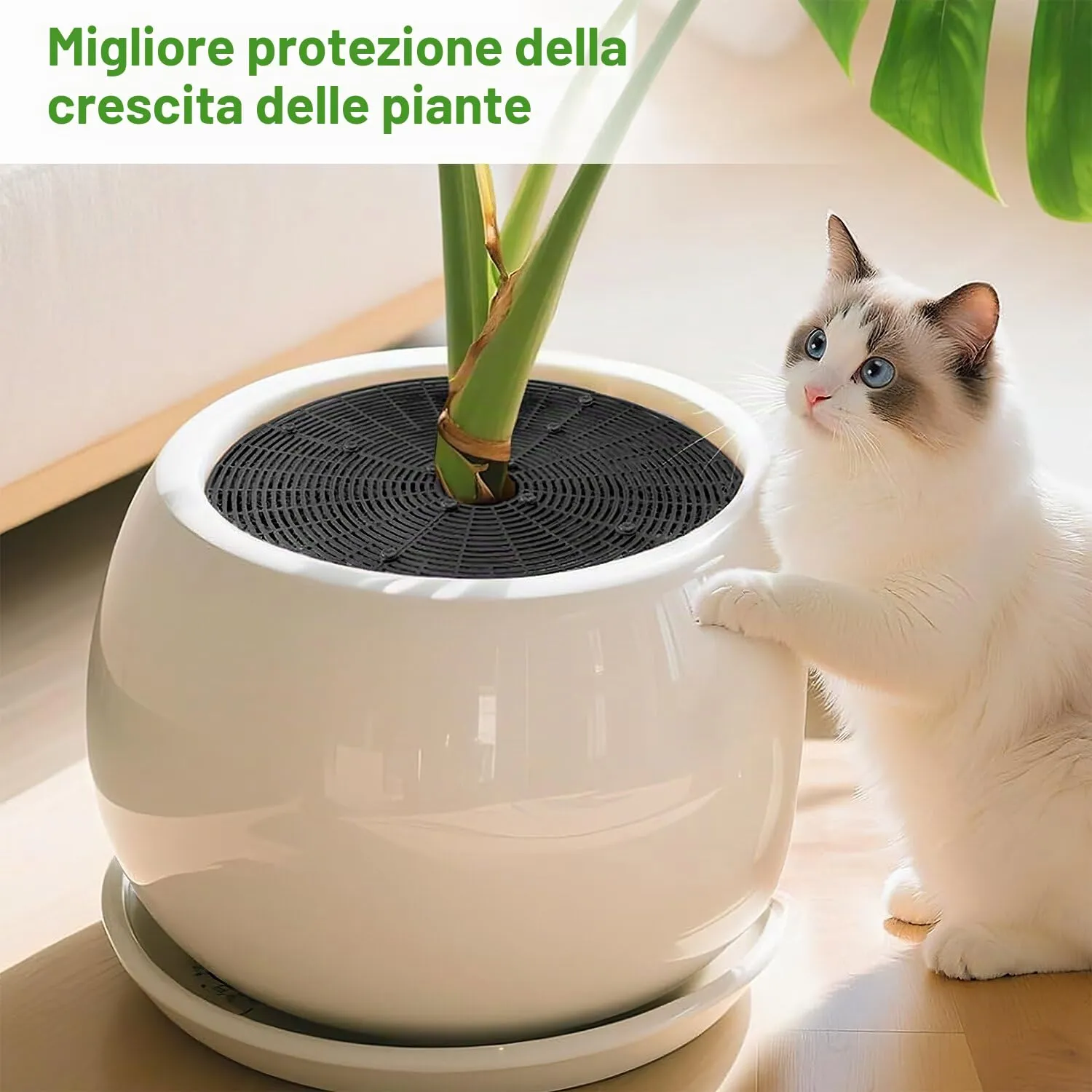BSTDAYEVER Griglia per Vasi da Fiori Griglia Protezione per Piante 52cm 2Pz - immagine 4