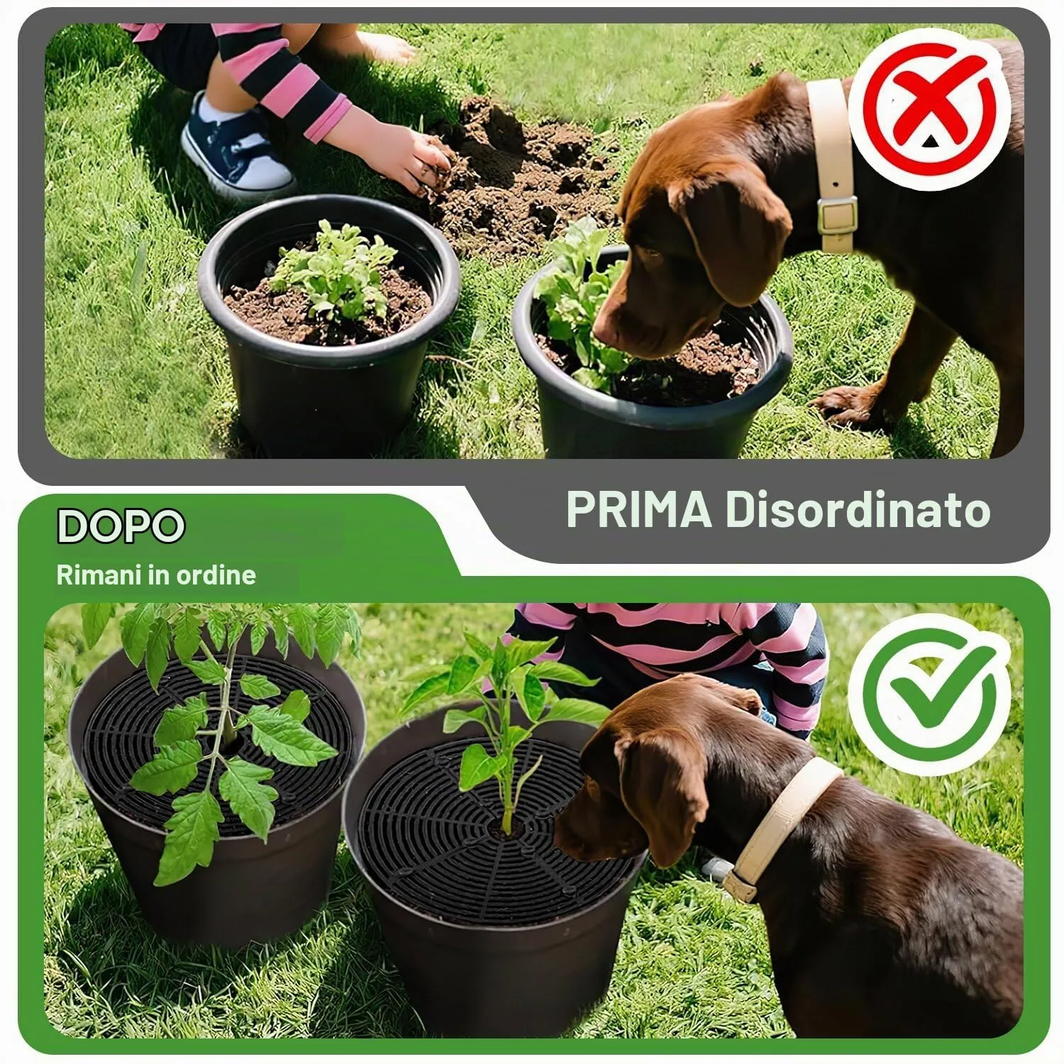 BSTDAYEVER Griglia per Vasi da Fiori Griglia Protezione per Piante 52cm 2Pz - immagine 5
