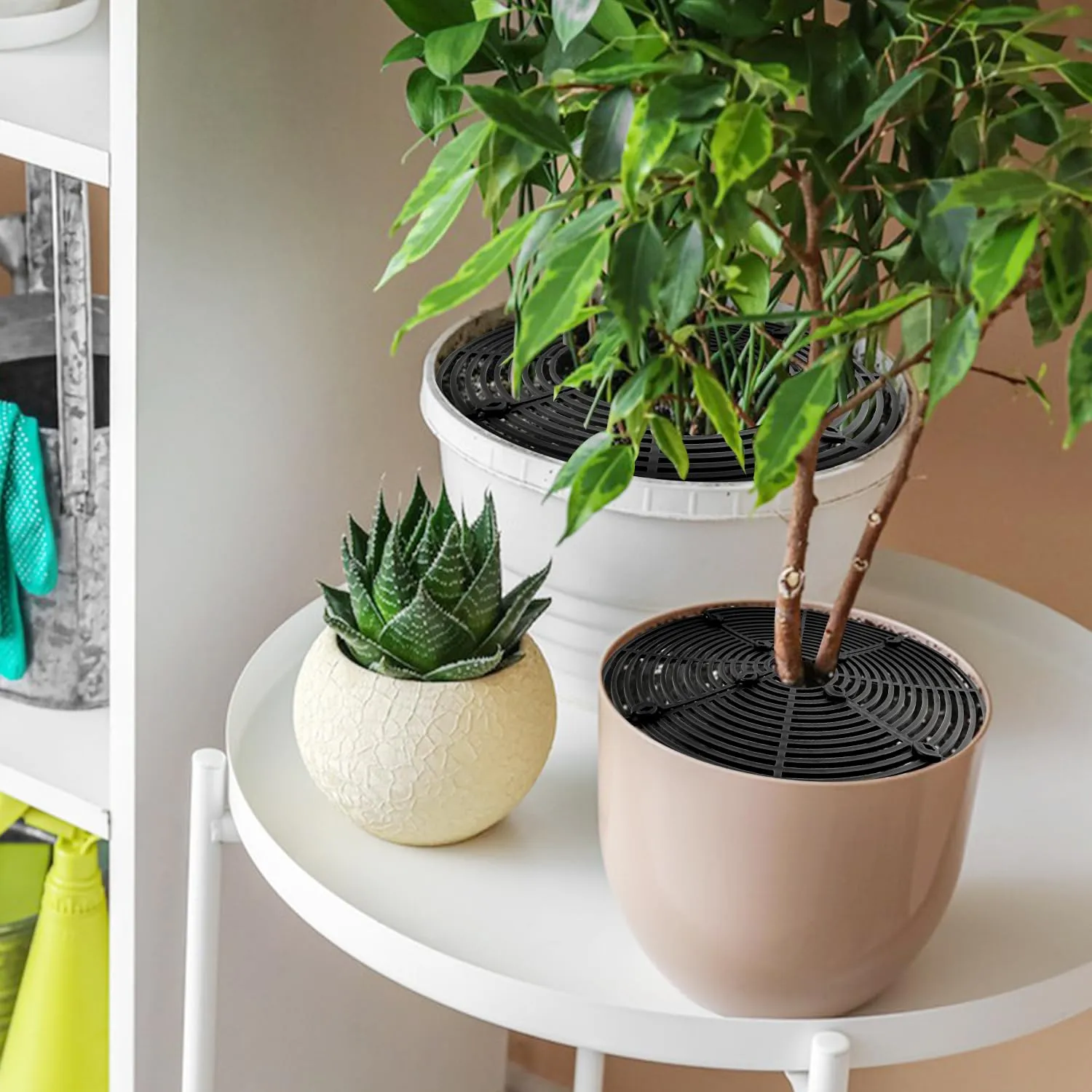 BSTDAYEVER Griglia per Vasi da Fiori Griglia Protezione per Piante 30cm 2Pz - immagine 7
