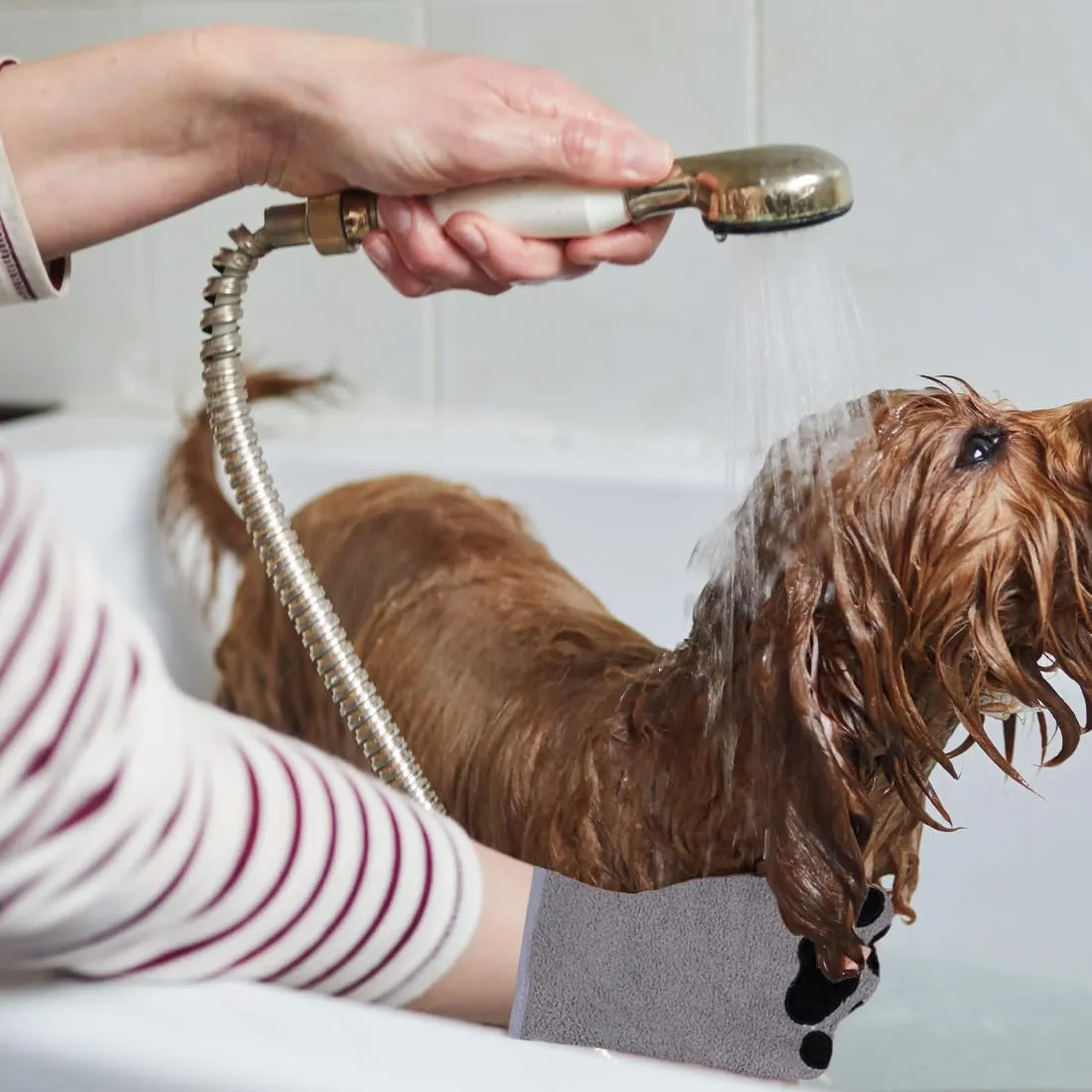WeddHuis 2 Pcs Guanti per la Pulizia di Animali Domestici Asciugamano in Microfibra Assorbente Morbido e Durevole per Cani, Gatti e Altri Piccoli Animali (Grigio) - immagine 5
