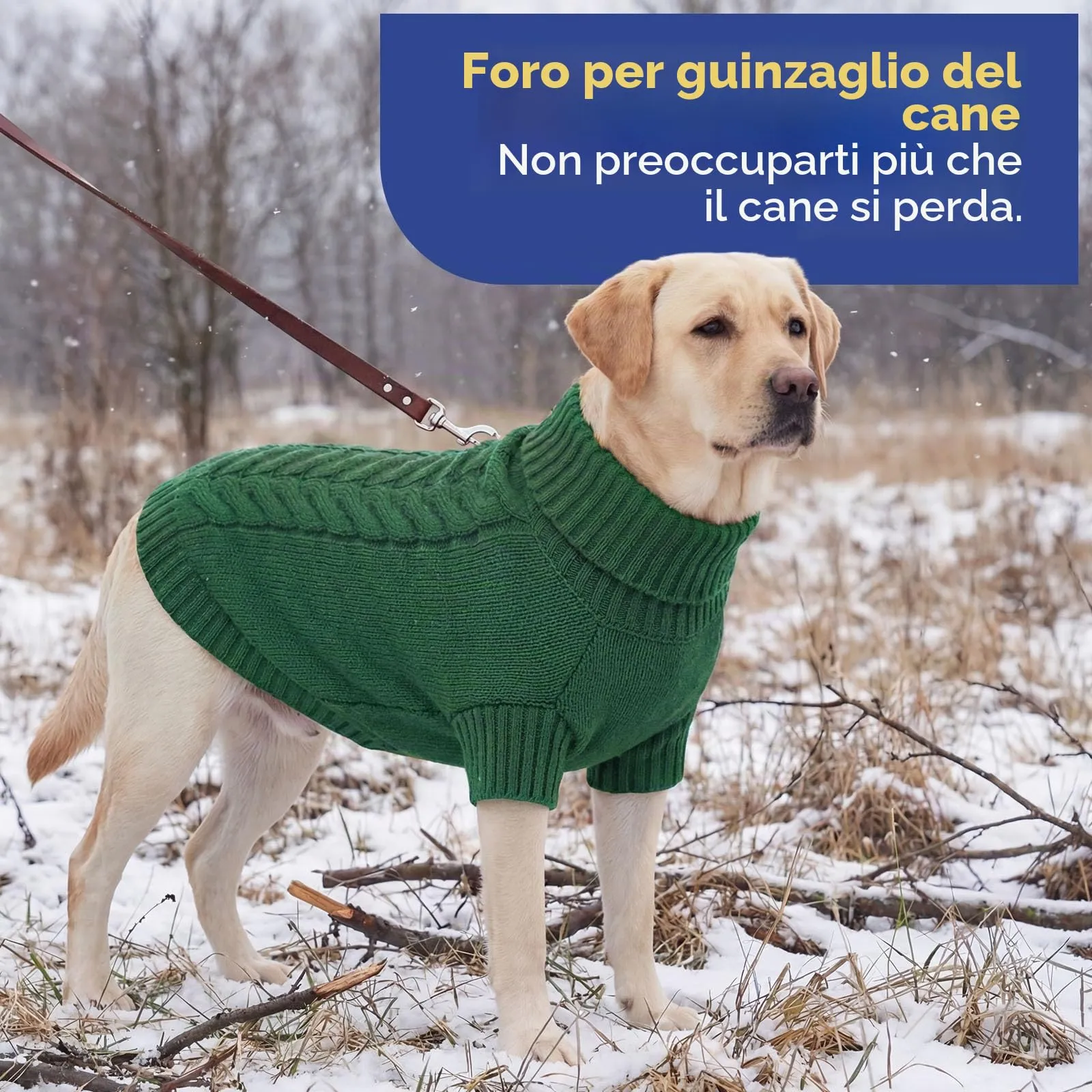 ASENKU Maglione Invernale per Cani Taglia XS Molto Piccolo,Maglia Treccia Collo Alto con Foro Guinzaglio per Chihuahua Yorkshire, Foro Guinzaglio, Vestito Invernale Anti-freddo per Attività All'aperto - immagine 6