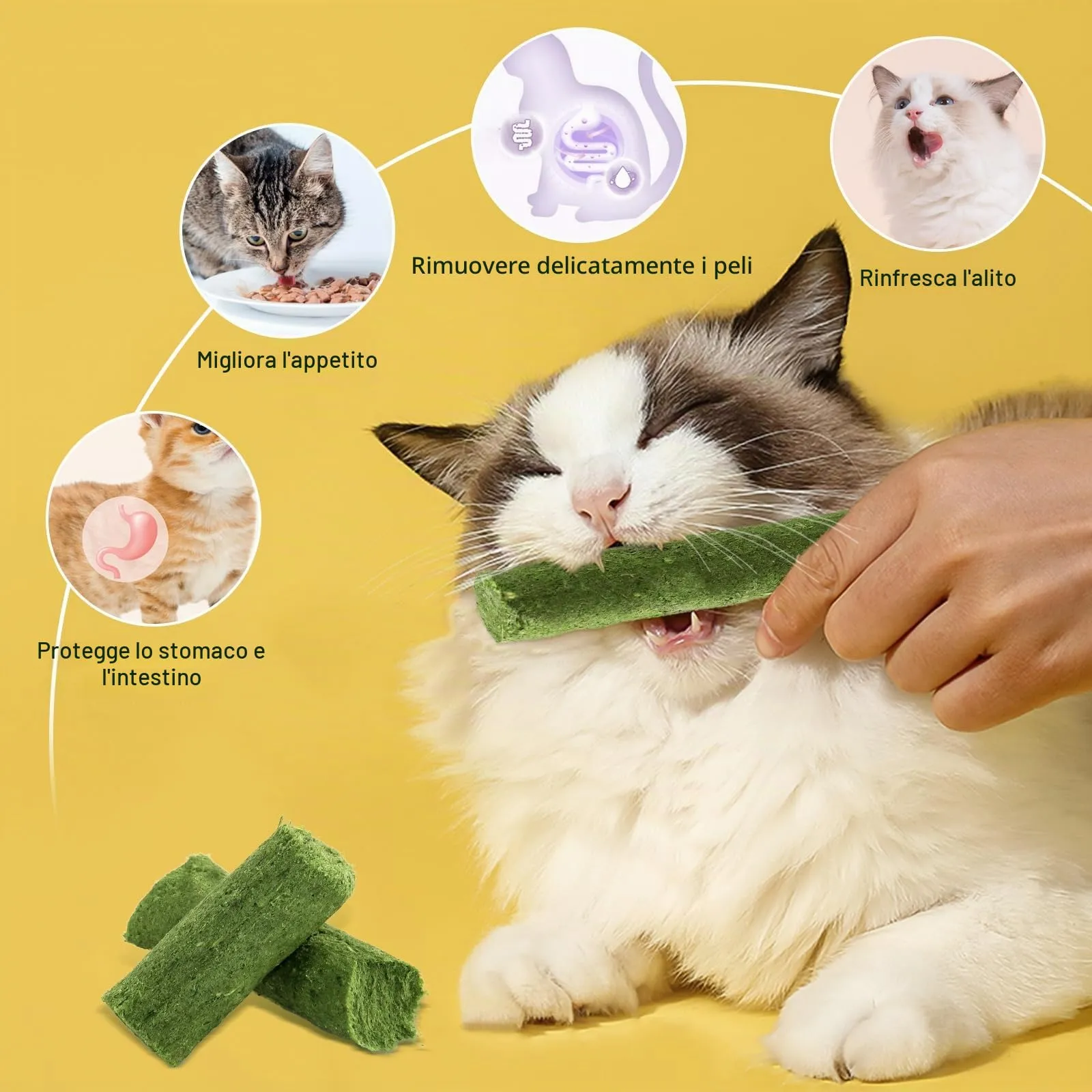 Havenfly 30g Bastoncini Erba Gatta per Gatti, Snack per Gatti Liofilizzato con Erba Gatta per Elimina Boli di Pelo e Pulizia dei Denti, Cat Grass Teething Stick - immagine 3