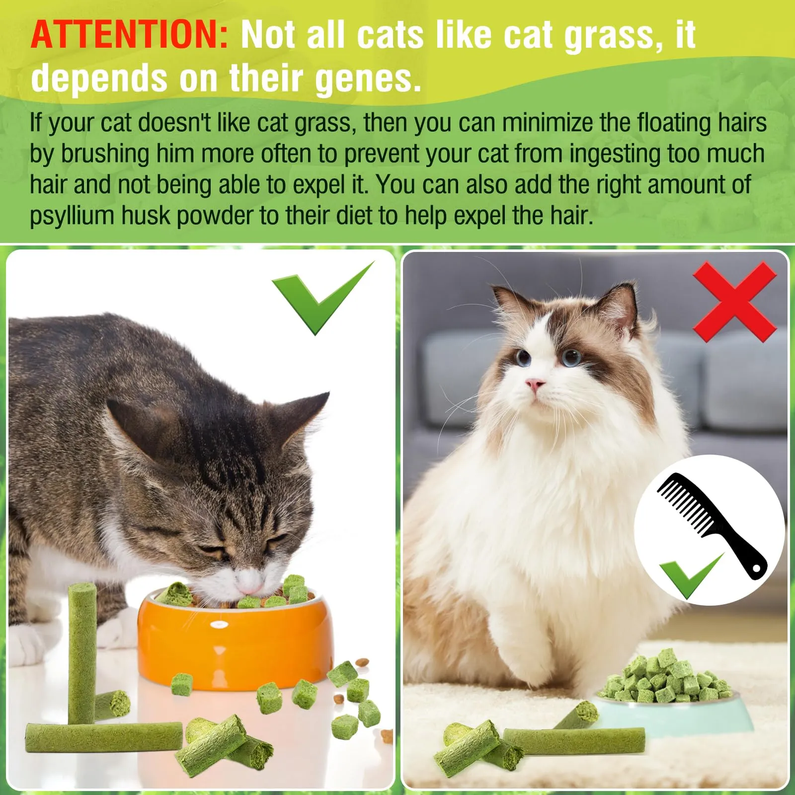 Havenfly 30g Bastoncini Erba Gatta per Gatti, Snack per Gatti Liofilizzato con Erba Gatta per Elimina Boli di Pelo e Pulizia dei Denti, Cat Grass Teething Stick - immagine 6