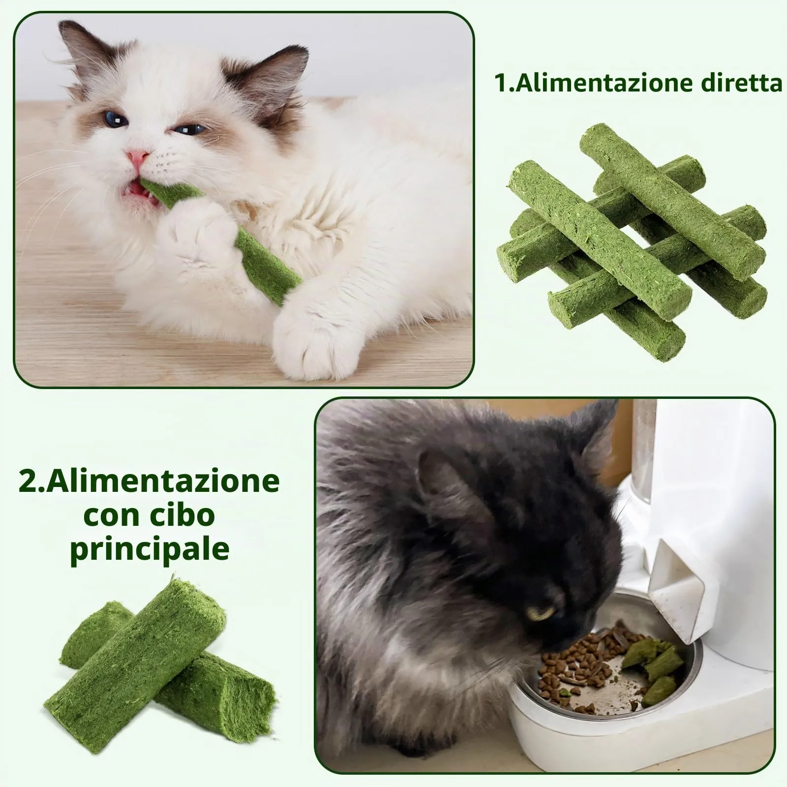 Havenfly 30g Bastoncini Erba Gatta per Gatti, Snack per Gatti Liofilizzato con Erba Gatta per Elimina Boli di Pelo e Pulizia dei Denti, Cat Grass Teething Stick - immagine 7