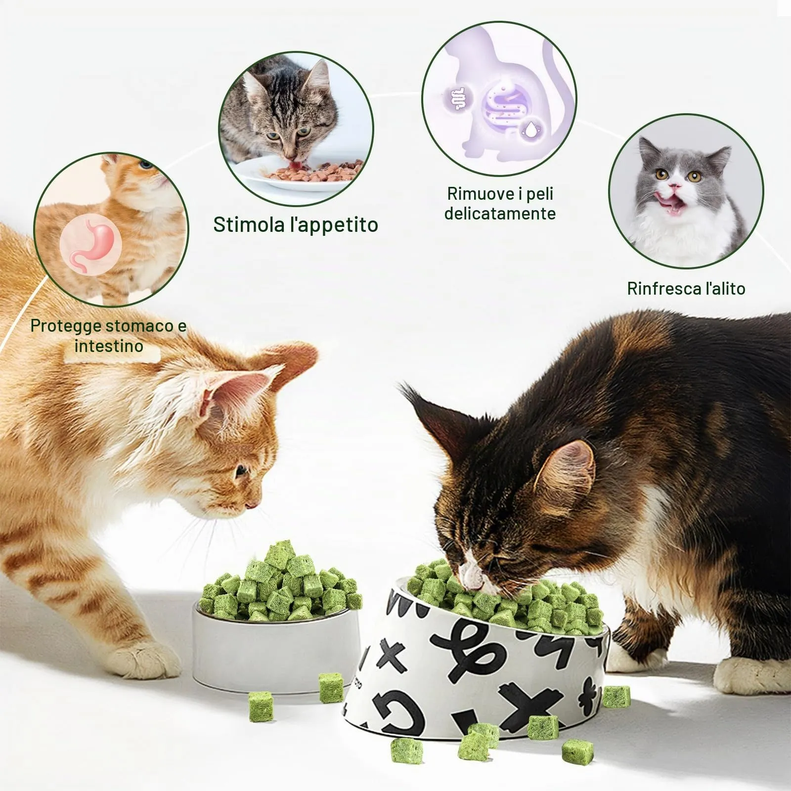 Havenfly 30g Snack per Gatti Erba da gatto, Snack Liofilizzato con Erba Gatta per Elimina Boli di Pelo e Pulizia dei Denti - immagine 3