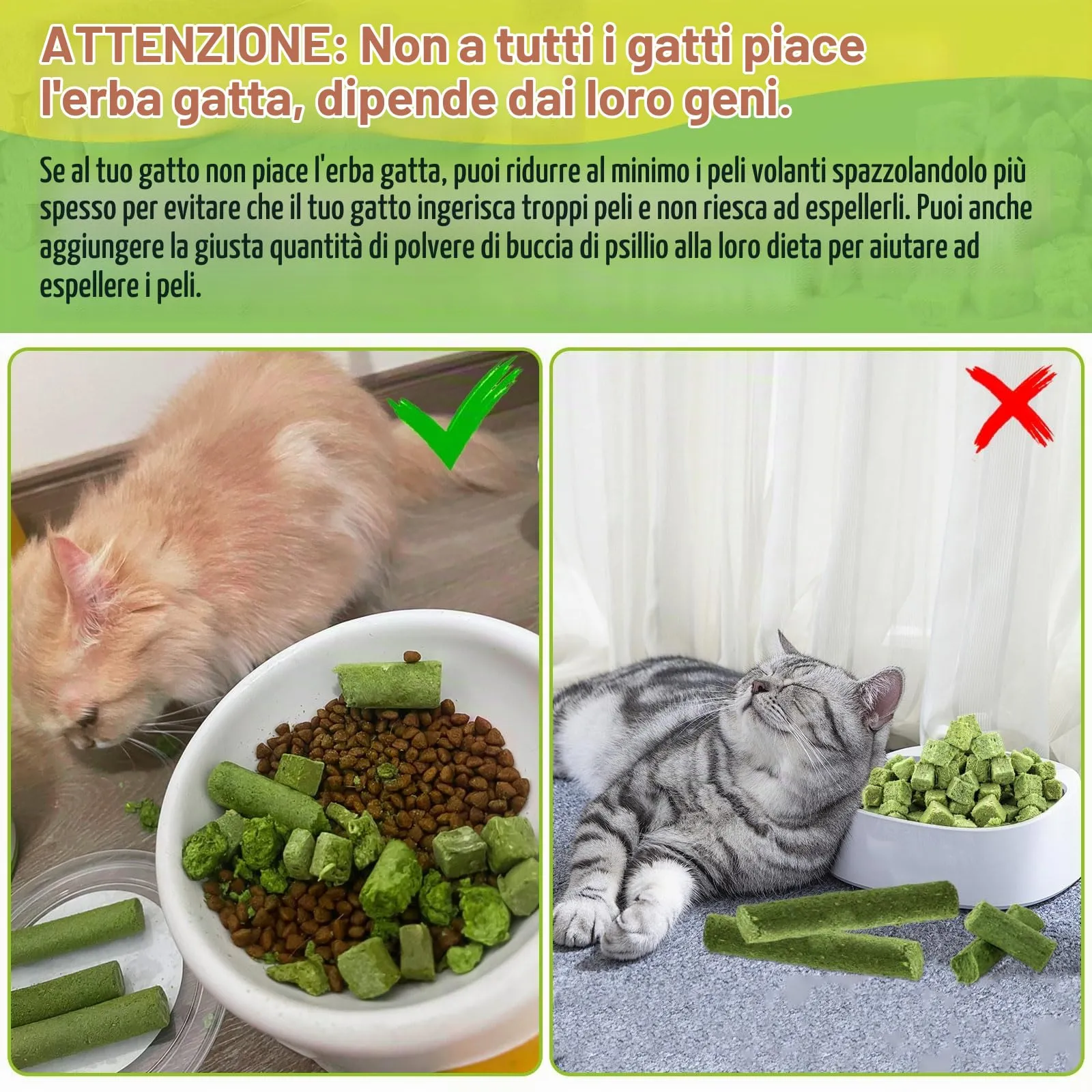 Havenfly 30g Snack per Gatti Erba da gatto, Snack Liofilizzato con Erba Gatta per Elimina Boli di Pelo e Pulizia dei Denti - immagine 4