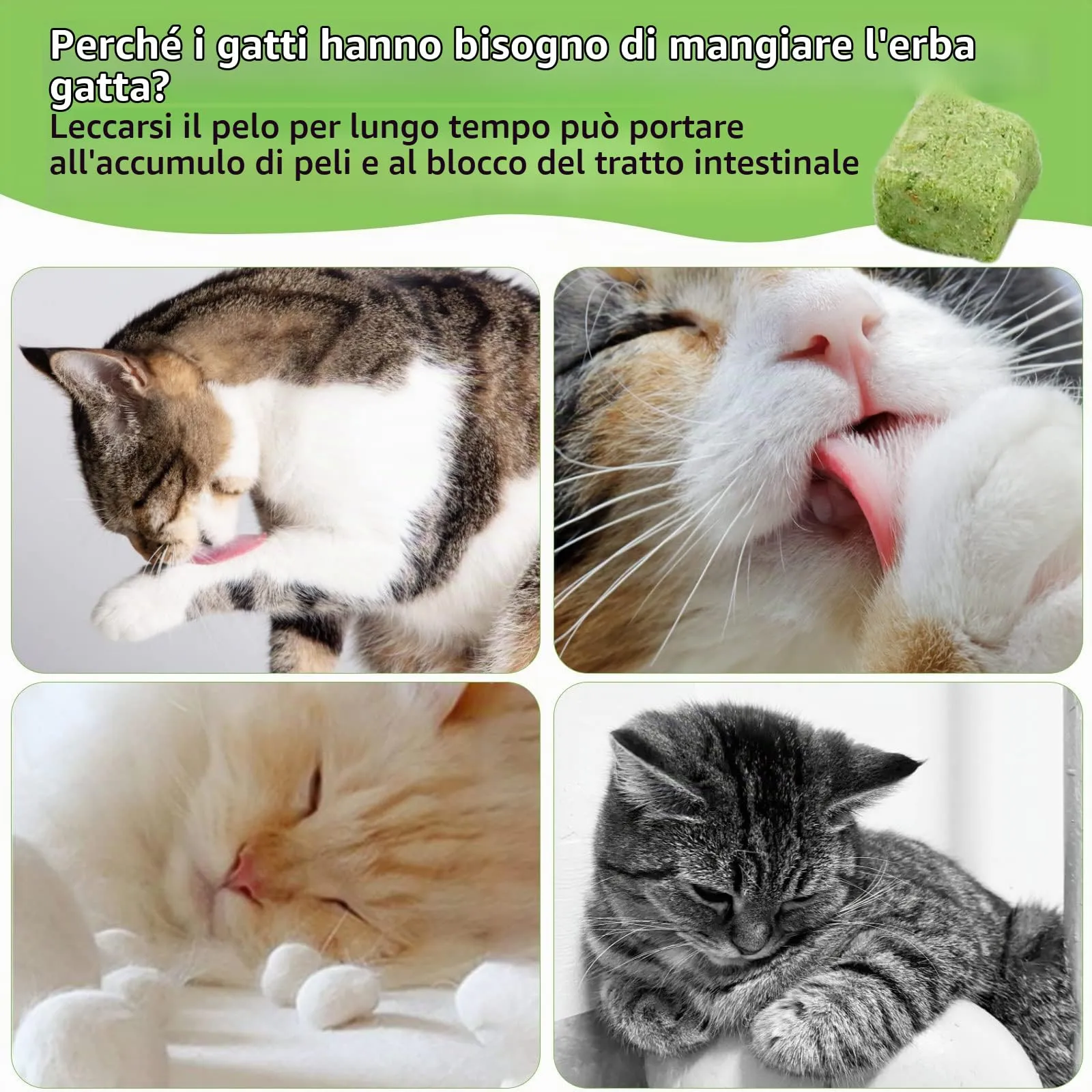 Havenfly 30g Snack per Gatti Erba da gatto, Snack Liofilizzato con Erba Gatta per Elimina Boli di Pelo e Pulizia dei Denti - immagine 5