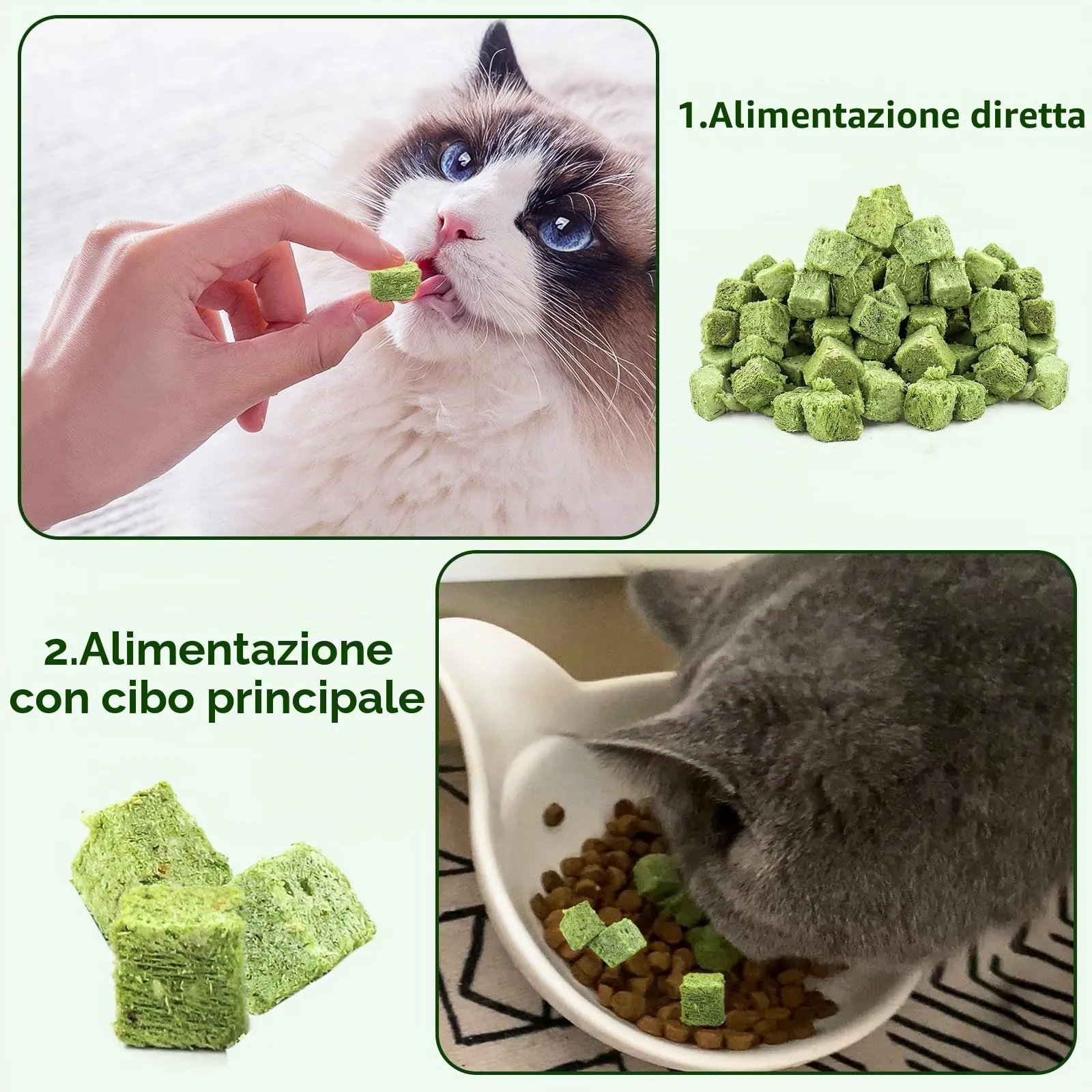 Havenfly 30g Snack per Gatti Erba da gatto, Snack Liofilizzato con Erba Gatta per Elimina Boli di Pelo e Pulizia dei Denti - immagine 8