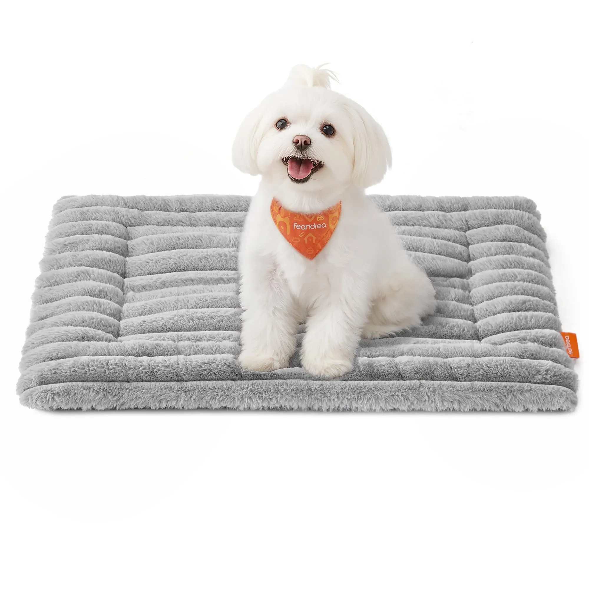 Feandrea Cuccia Cane Interno, Cuscino Cane, 60 x 45 cm, Lavatrice - immagine 1