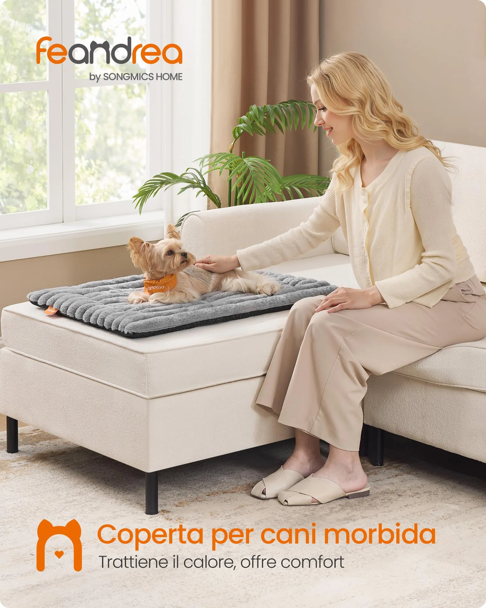 Feandrea Cuccia Cane Interno, Cuscino Cane, 75 x 50 cm, Lavatrice - immagine 2