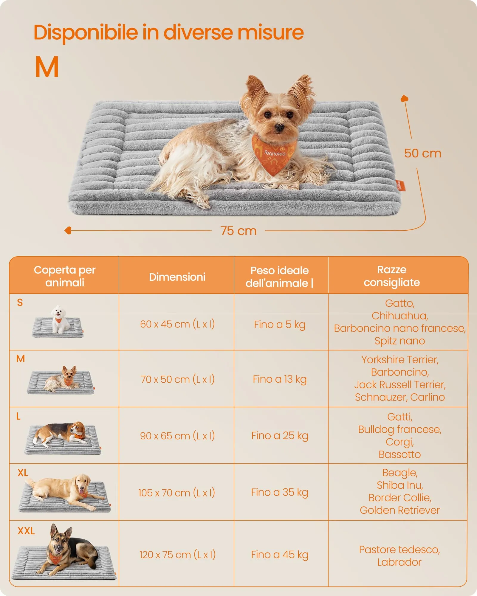 Feandrea Cuccia Cane Interno, Cuscino Cane, 75 x 50 cm, Lavatrice - immagine 6