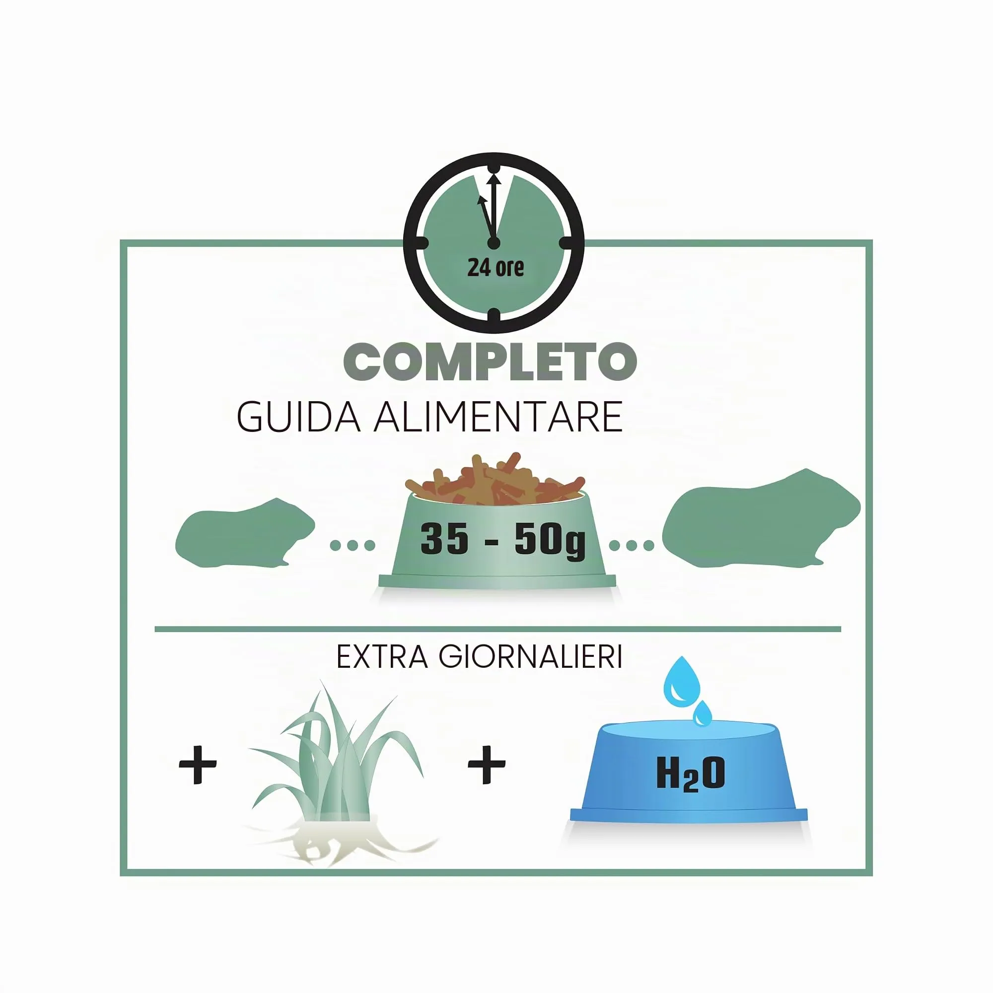 Versele-Laga Complete Cavia alimentazione completa | 500 g | Pellet per cavie | Contiene fieno di fleolo | Arricchito con bacche di sambuco ed erbe aromatiche - immagine 4