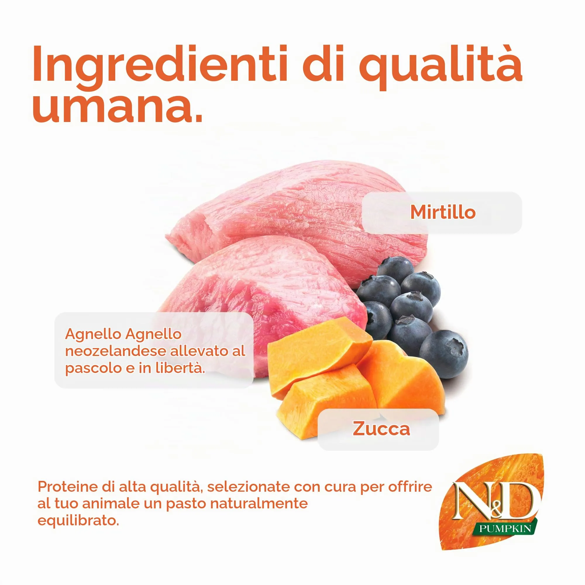 N&D PUMPKIN DOG LAMB & BLUEBERRY PUPPY MEDIUM & MAXI 12 KG - immagine 4