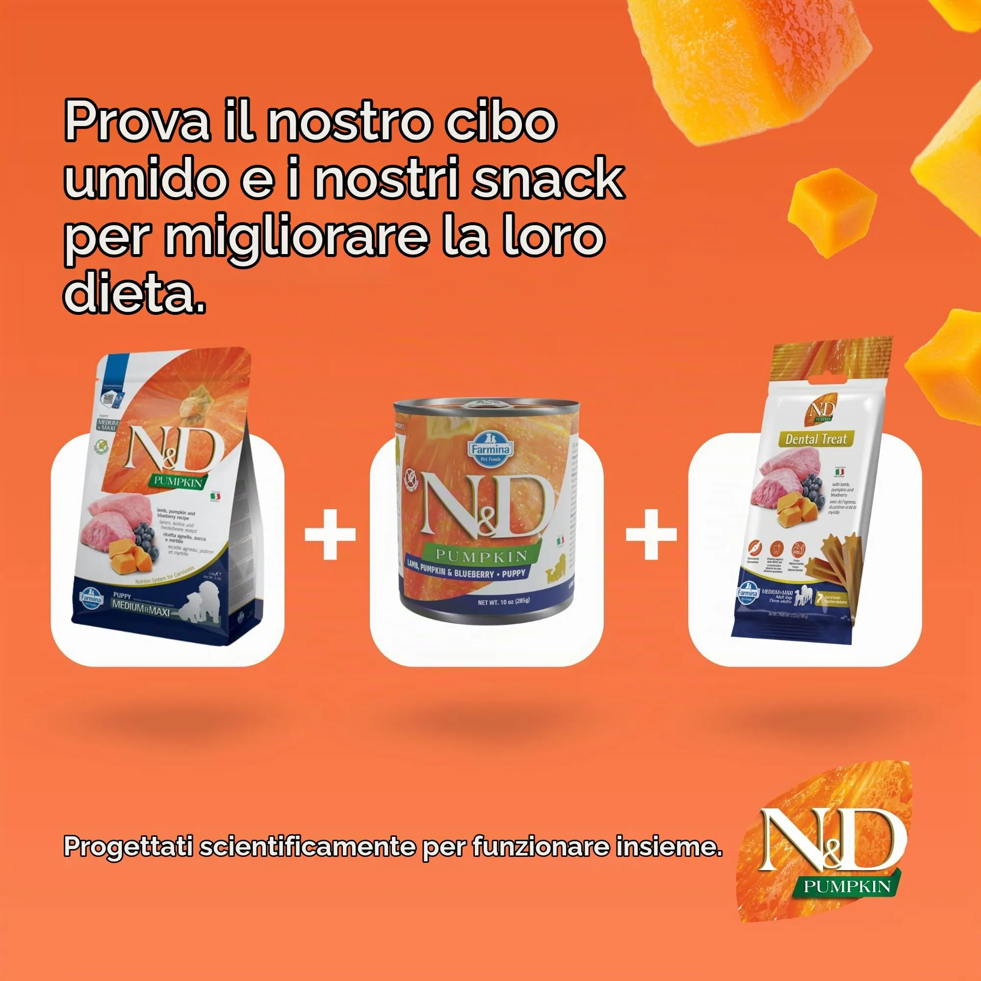 N&D PUMPKIN DOG LAMB & BLUEBERRY PUPPY MEDIUM & MAXI 12 KG - immagine 8