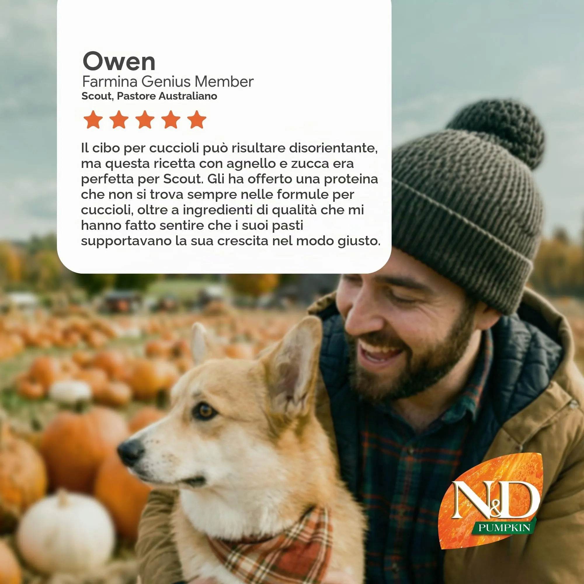 N&D PUMPKIN DOG LAMB & BLUEBERRY PUPPY MEDIUM & MAXI 12 KG - immagine 10