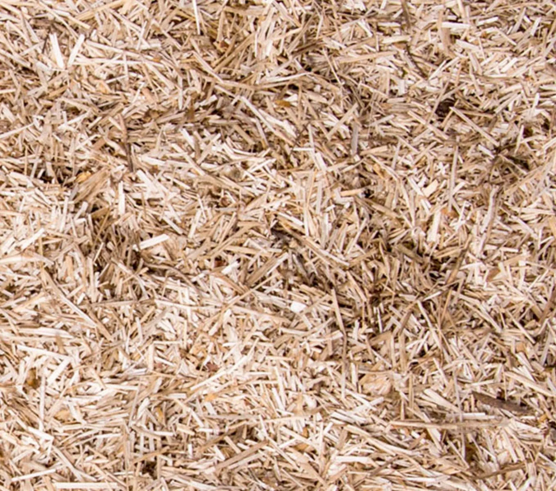 Bunny Bedding Linum 12,5 Liter Einstreu - immagine 8