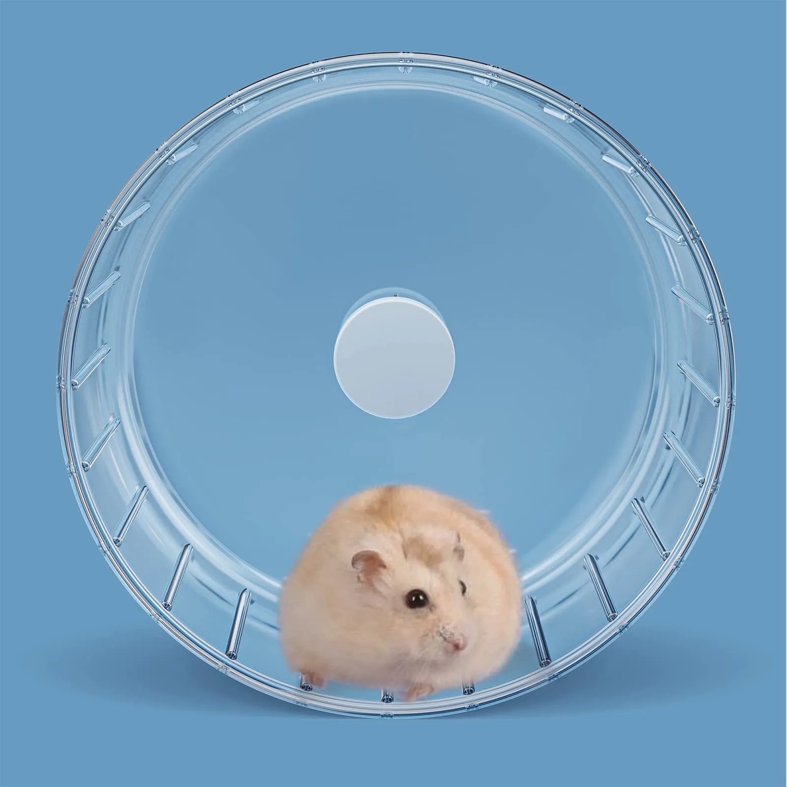 BUCATSTATE Ruota Criceto, 15cm Super Silenziosa Ruota da Corsa Trasparente per Criceti Piccoli Animali Domestici Criceto Gerbil - immagine 8