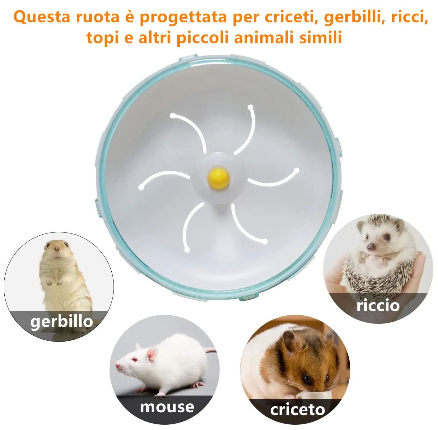 Norhogo 1 Pezzi Super Silenziosa Ruota Criceto, Acrilica Ruota Corsa, 12cm - immagine 7