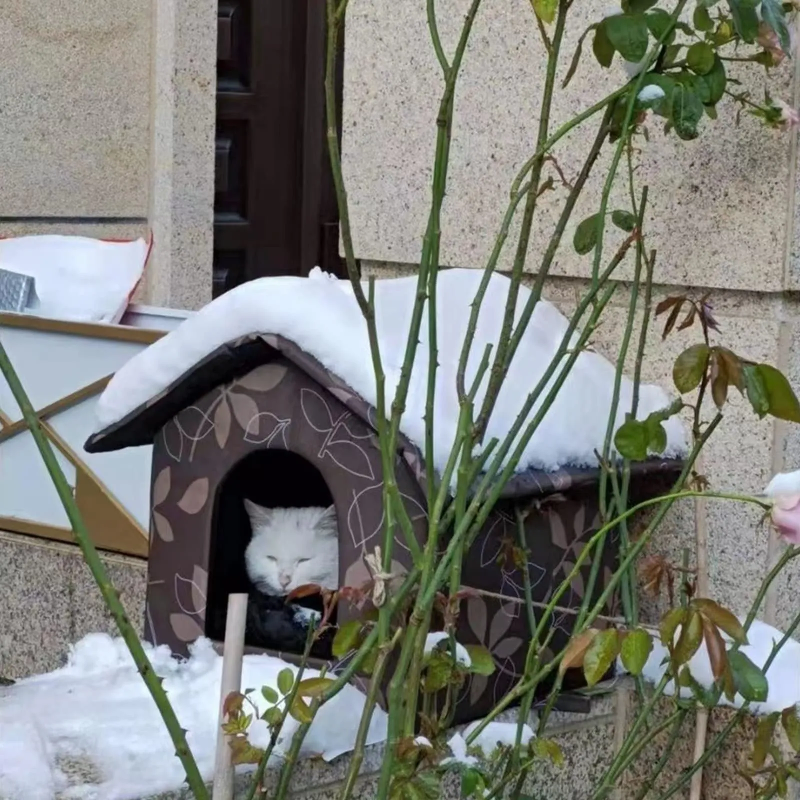 Casetta per Gatti per Esterni, Casetta per Gatti, Impermeabile, Cuccia Gatto Esterno Inverno con Tenda Timovibile - immagine 9