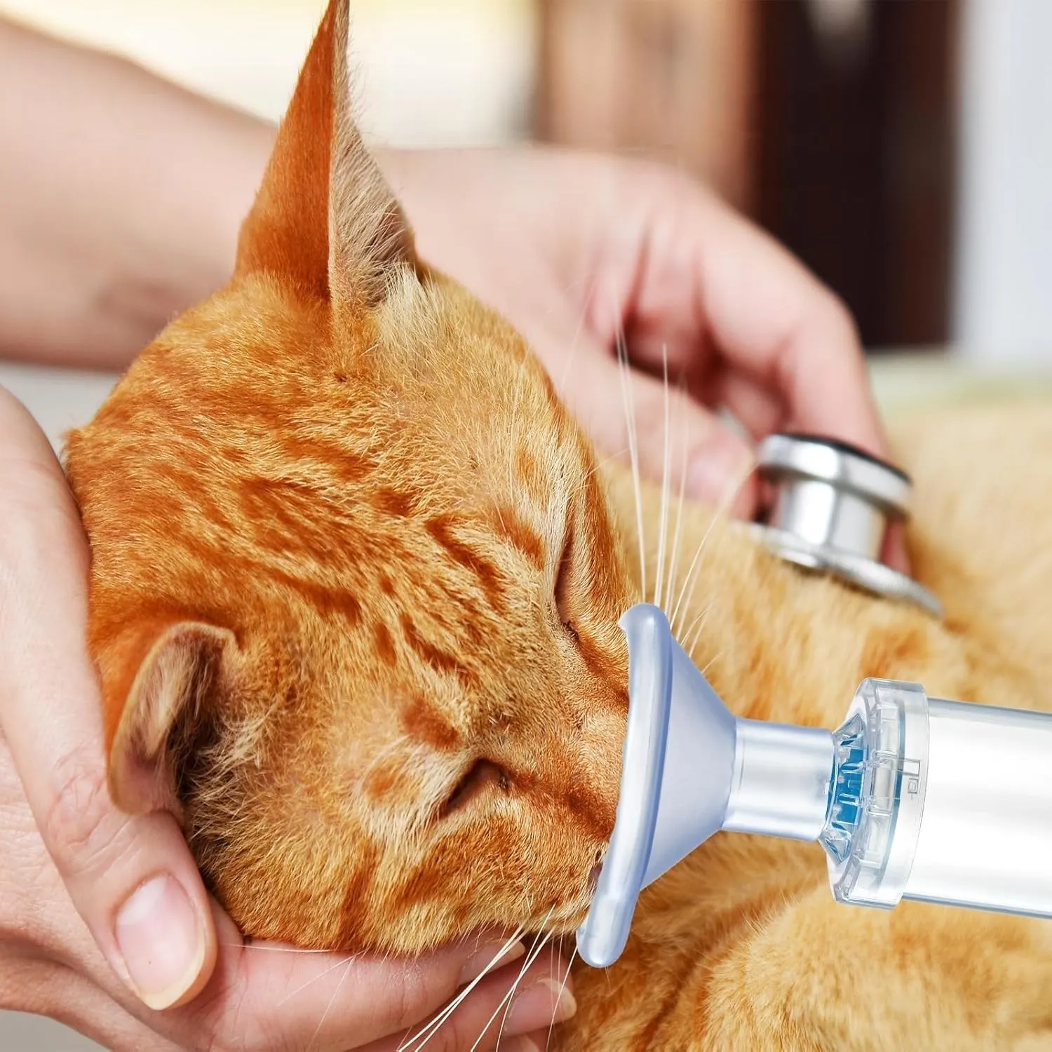 GOVNPJ Camera aerosol, distanziatore inalatore per Gatti o Cani per Animali Domestici, con Maschera, Aiuta Gli Animali Domestici a Respirare e dispensare farmaci - immagine 5