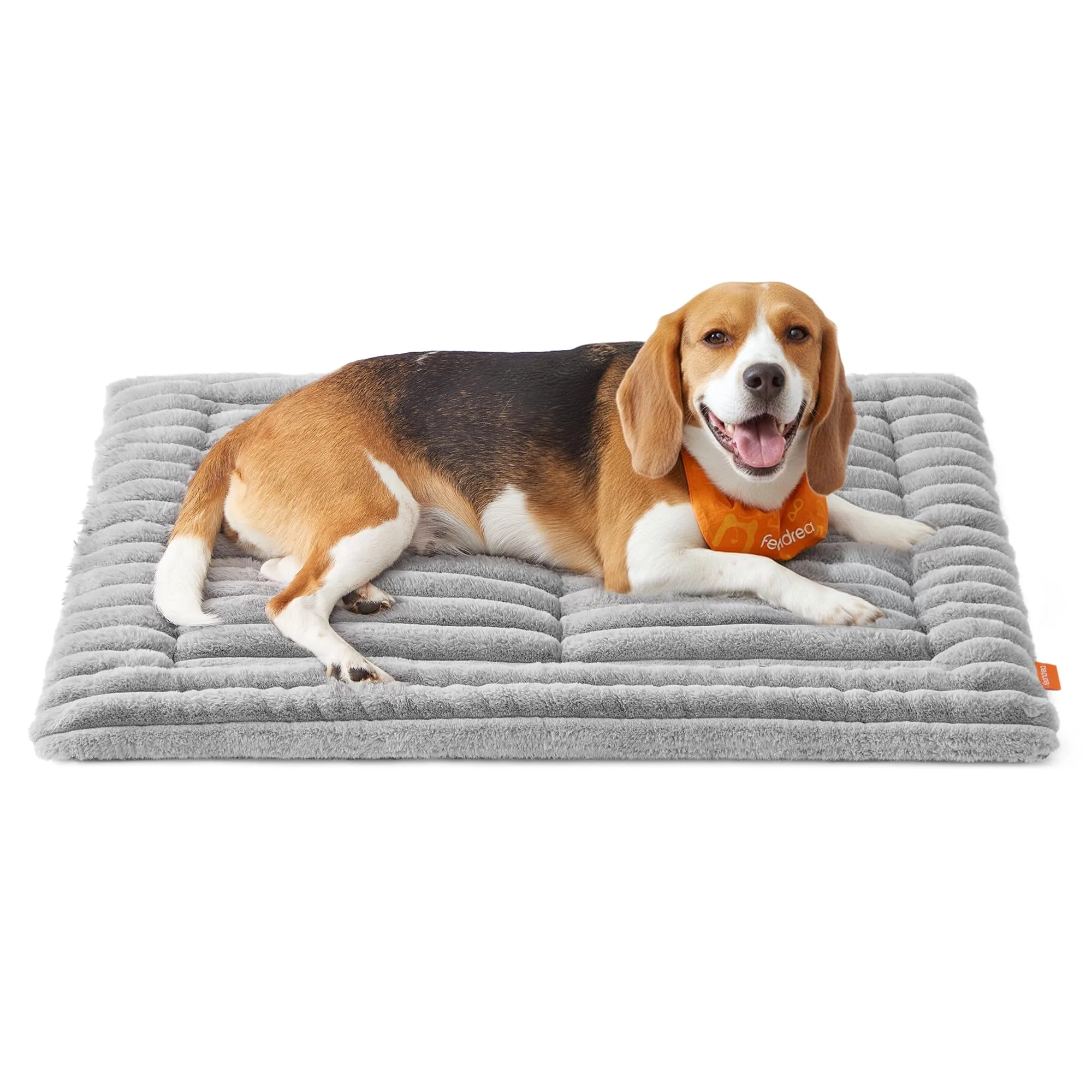 Feandrea Cuccia Cane Interno, Cuscino Cane, 90 x 65 cm, Lavatrice - immagine 1