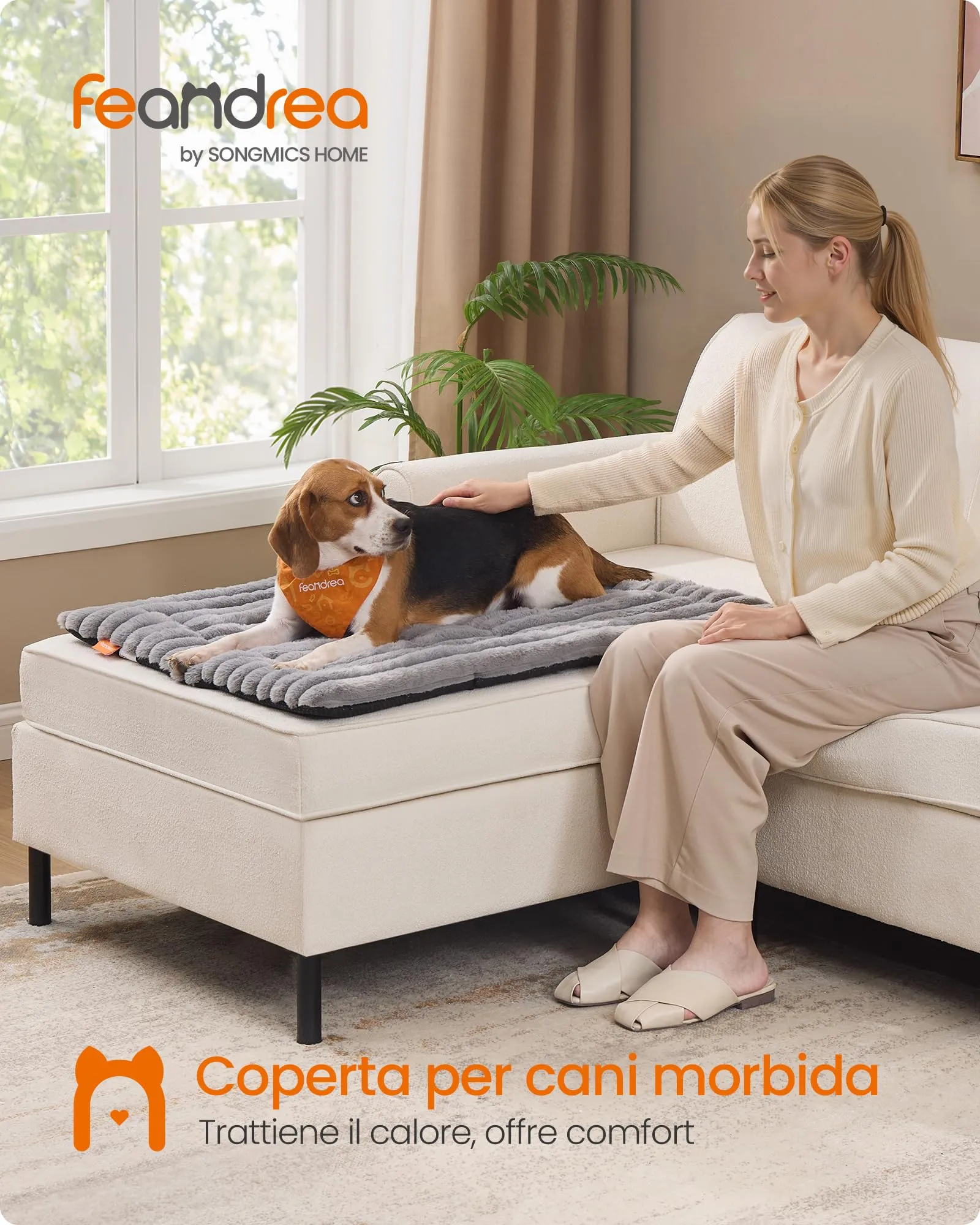 Feandrea Cuccia Cane Interno, Cuscino Cane, 90 x 65 cm, Lavatrice - immagine 2