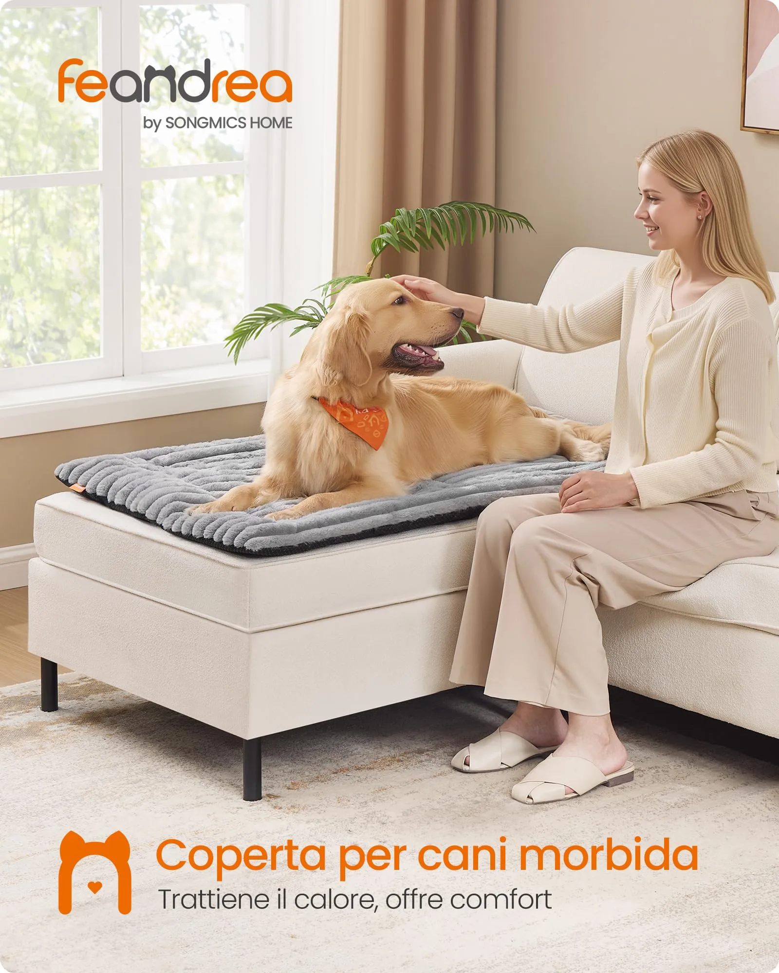 Feandrea Cuccia Cane Interno, Cuscino Cane, 105 x 70 cm, Lavatrice - immagine 2