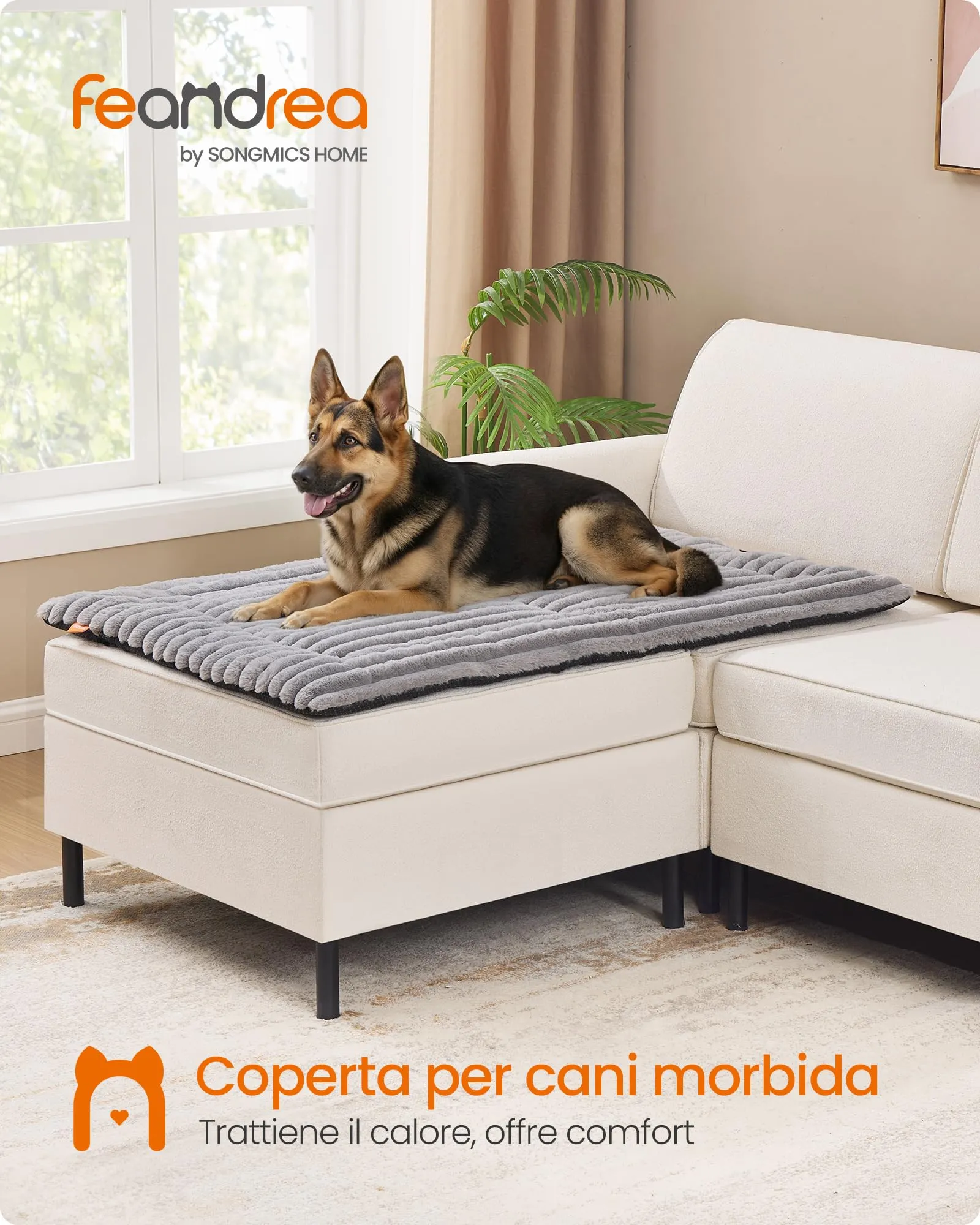 Feandrea Cuccia Cane Interno, Cuscino Cane, 120 x 75 cm, Lavatrice - immagine 2