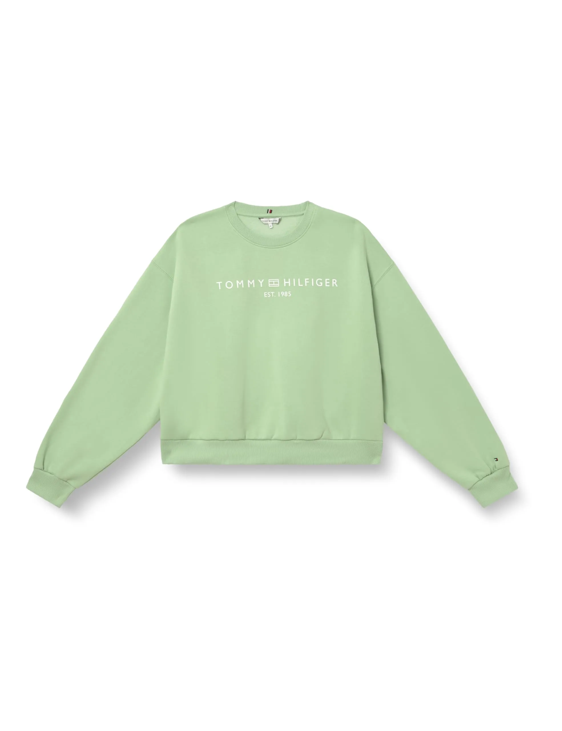 Tommy Hilfiger Donna Corp Logo Mdrn Swtsrt Ww0Ww47831, Verde, XXS - immagine 1