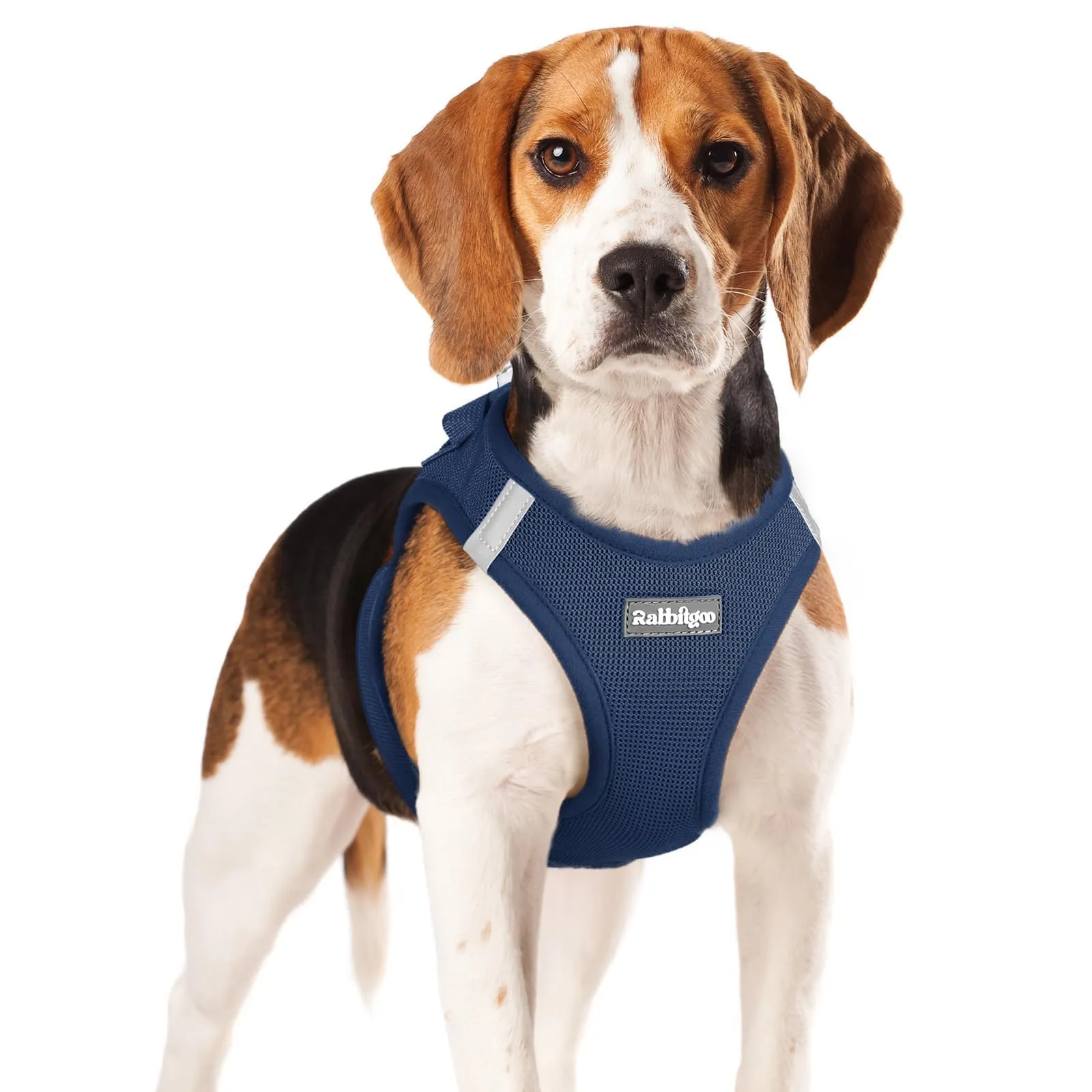 rabbitgoo Pettorina Cane Taglia Piccola, Leggero e Morbido, Blu Scuro XL - immagine 1