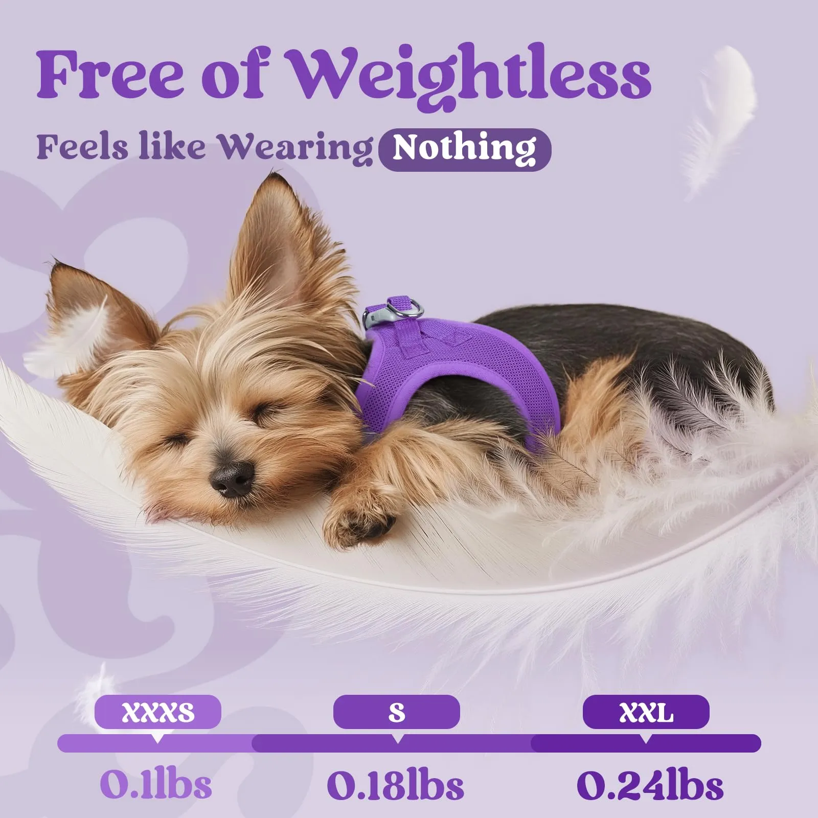 rabbitgoo Pettorina Cane Taglia Piccola, Leggero e Morbido, Viola XL - immagine 4
