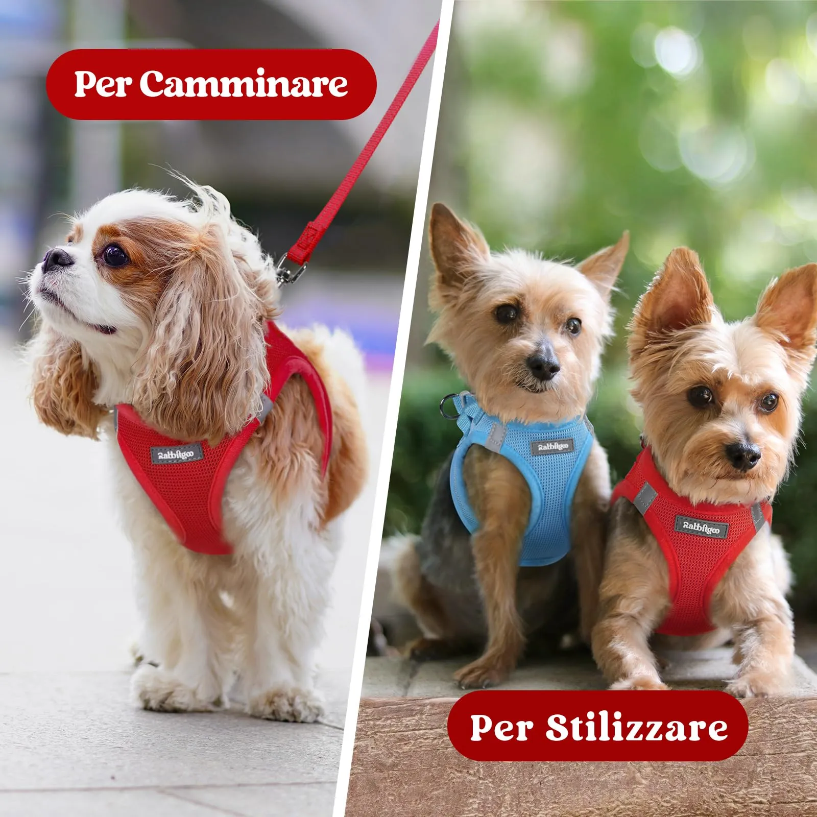 rabbitgoo Pettorina Cane Taglia Piccola, Leggero e Morbido, Rosso XXS - immagine 9