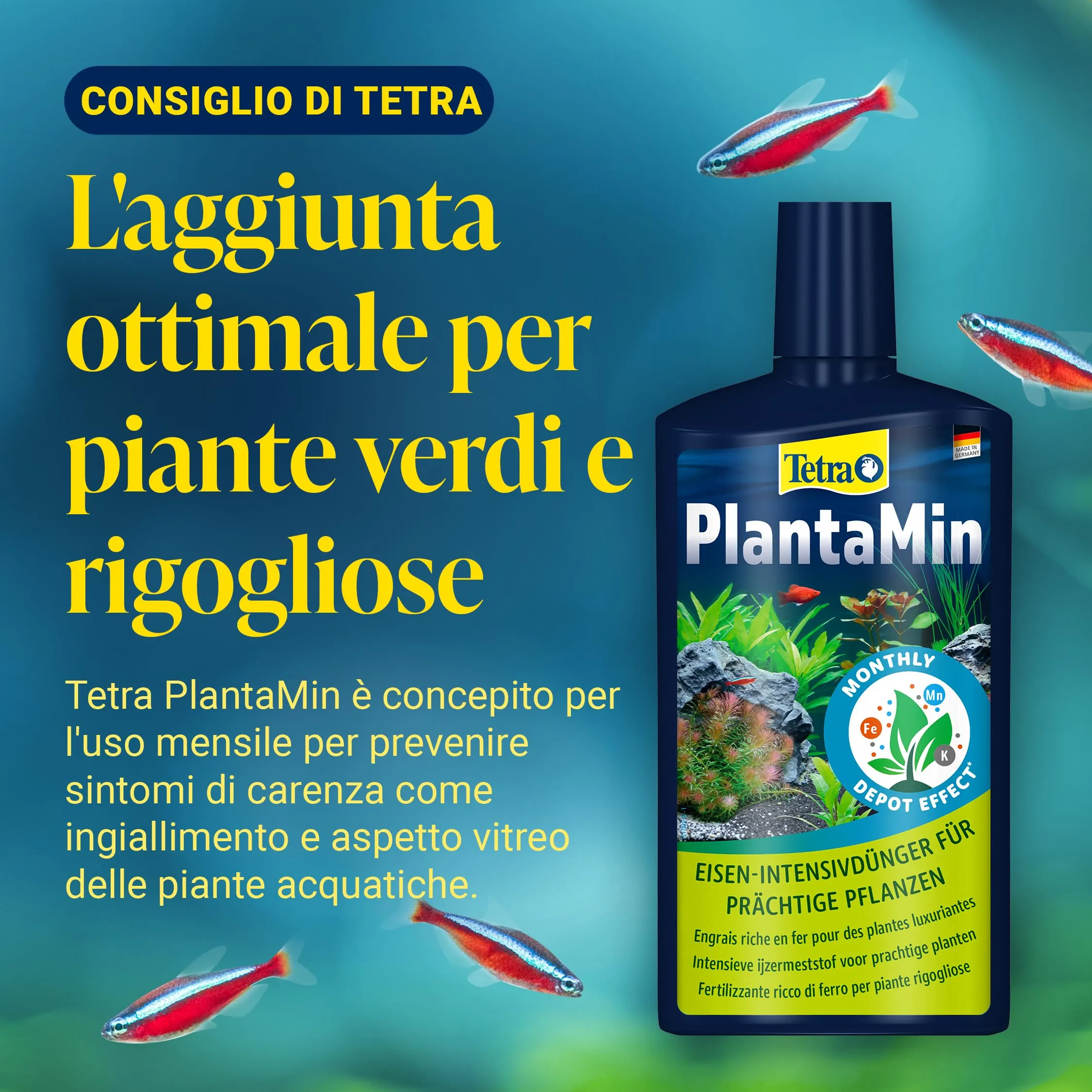 Tetra Complete Substrate - Fondo fertilizzante per acquari, 2.5 kg - immagine 9