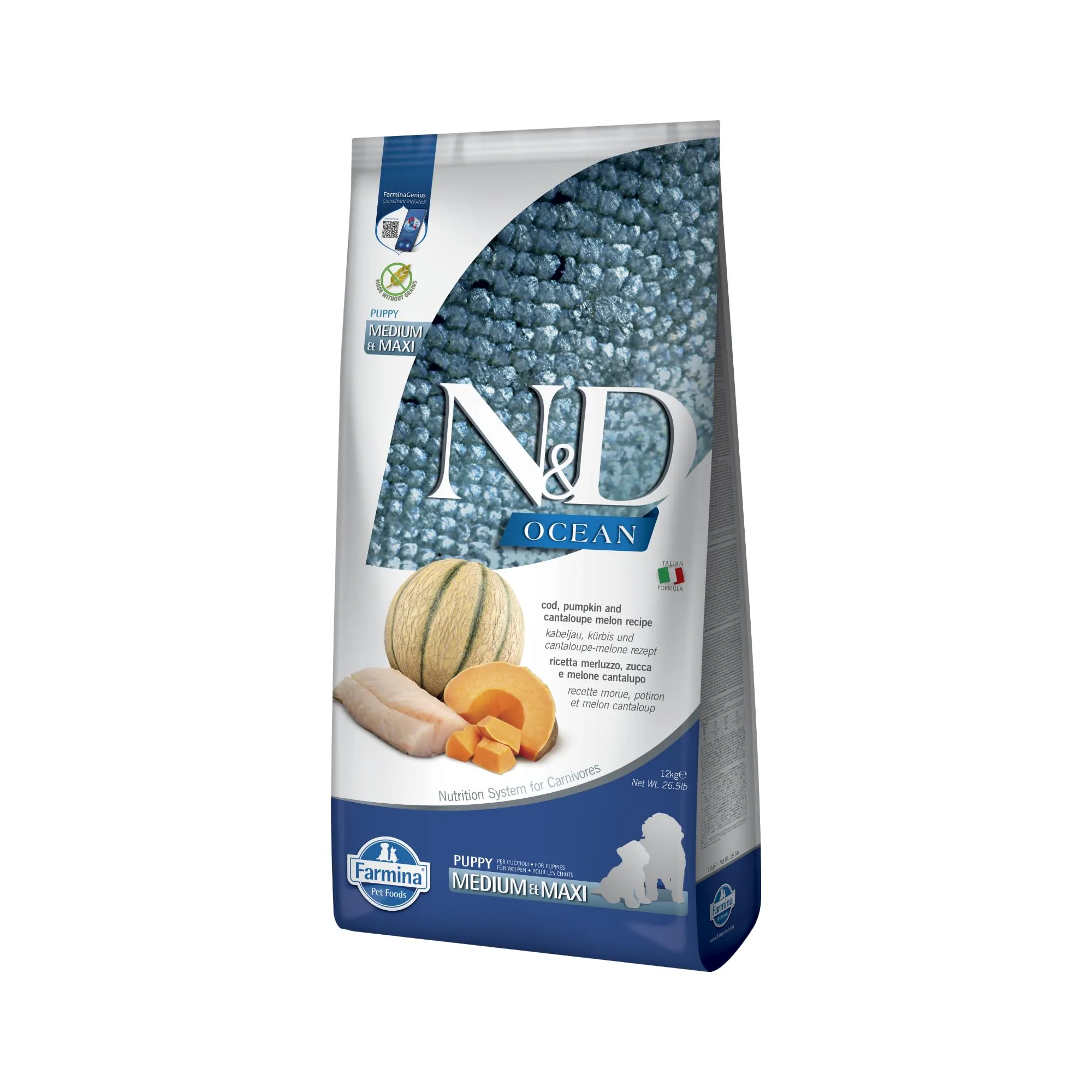 N&D OCEAN DOG COD, PUMPKIN AND CANTALOUPE MELON PUPPY MEDIUM & MAXI 12 KG - immagine 1