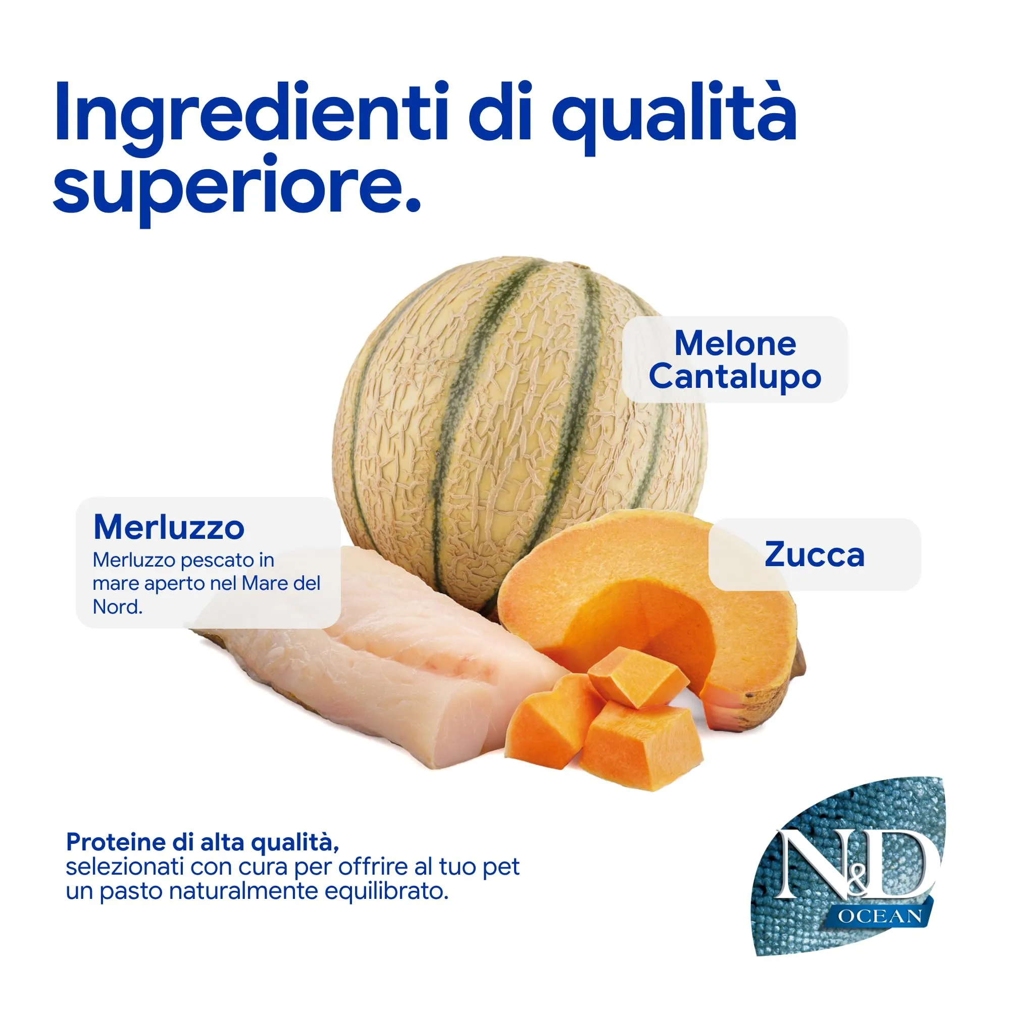N&D OCEAN DOG COD, PUMPKIN AND CANTALOUPE MELON PUPPY MEDIUM & MAXI 12 KG - immagine 4