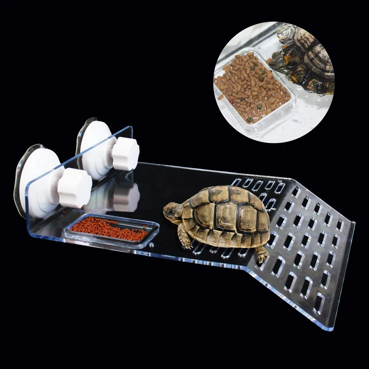 Cosyall Piattaforma a tartaruga, Piattaforma di riposo - Trasparente - immagine 3