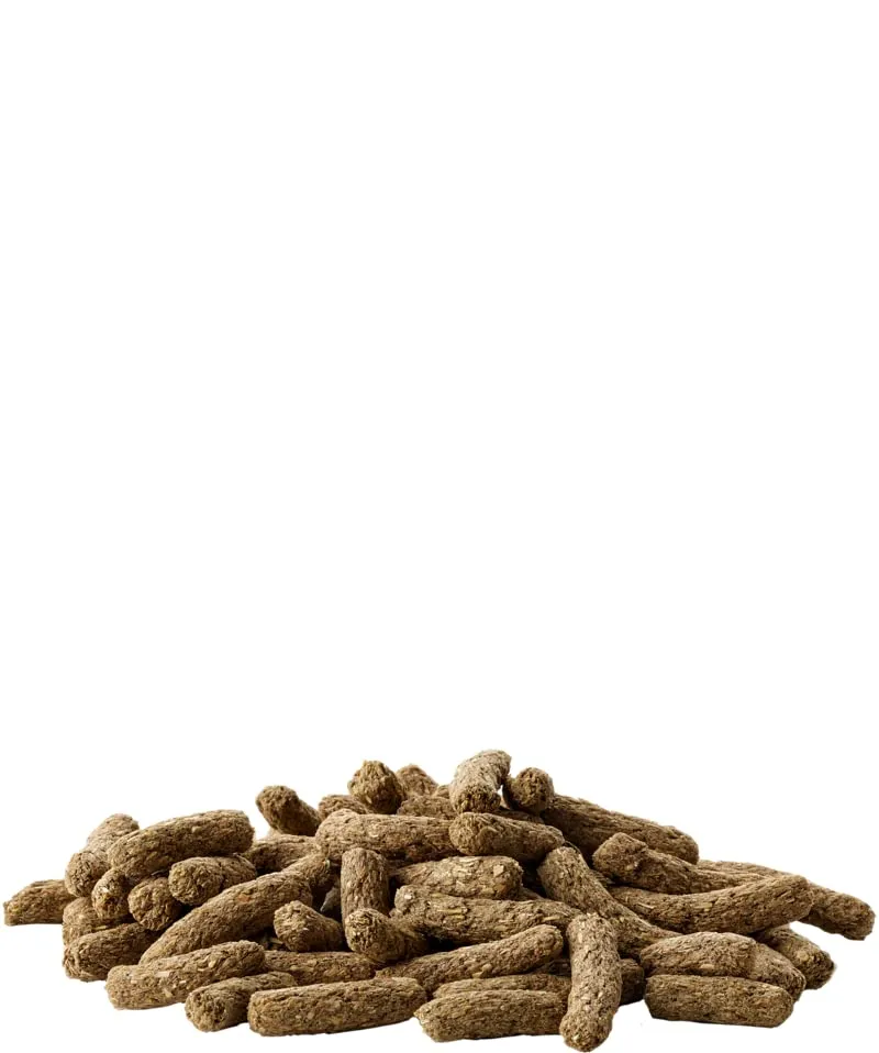 Versele-Laga Complete Cavia all-in-one- Nutrizione | Confezione Doppia | 2 x 500 g | Pellet per Cavie | Contiene fieno di fleolo | Arricchito con bacche di sambuco ed erbe aromatiche - immagine 5