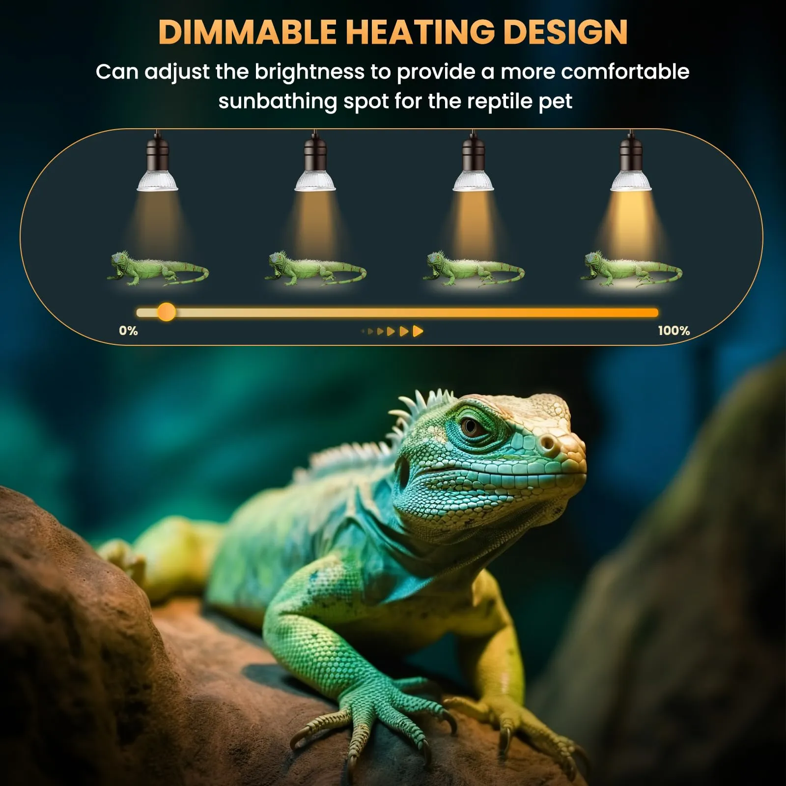 EASYIVY Lampadina Riscaldante per Rettili E27 Lampada UVA UVB Tartarughe 50W Dimmerabile, 230V Lampade Riscaldanti per Terrari Tartaruga Lucertola Serpente Acquario Animali, 4 pezzi - immagine 3