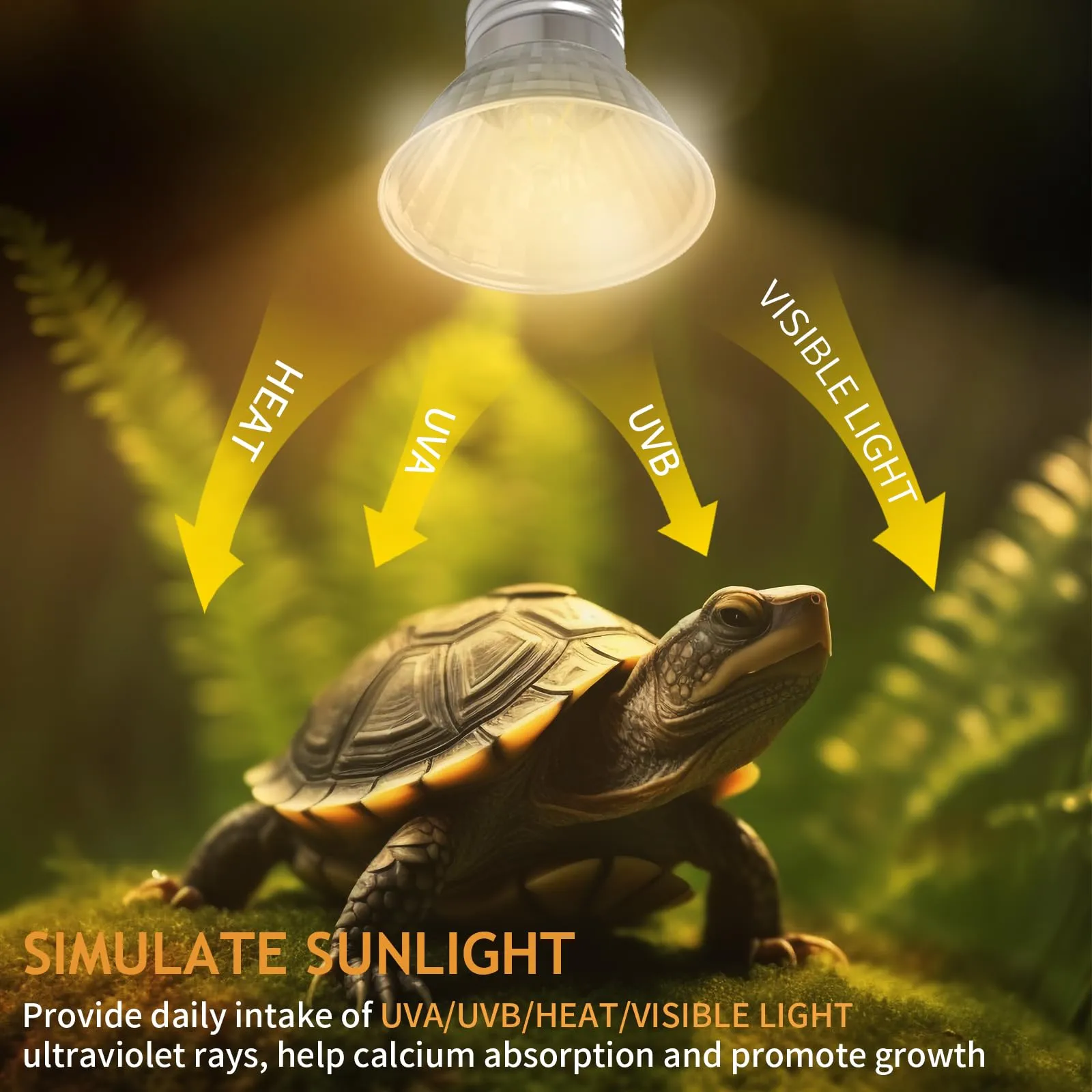 EASYIVY Lampadina Riscaldante per Rettili E27 Lampada UVA UVB Tartarughe 50W Dimmerabile, 230V Lampade Riscaldanti per Terrari Tartaruga Lucertola Serpente Acquario Animali, 4 pezzi - immagine 4